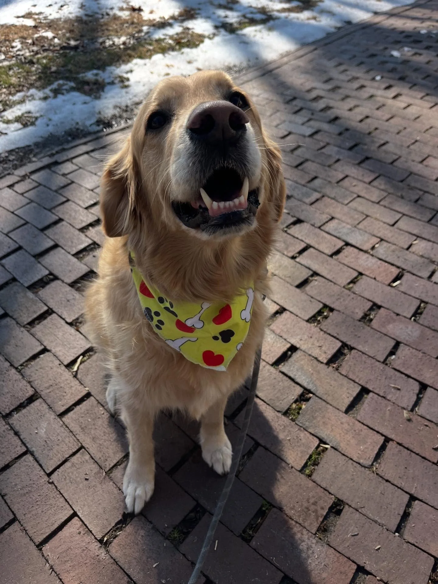 Everyone enjoying warmer weather and touching grass again today ☀️