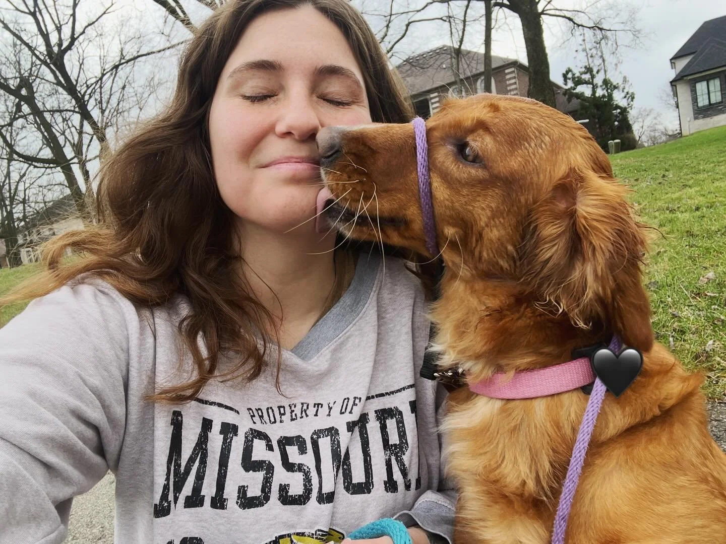Find a dog that looks at you like Stella does 🖤
