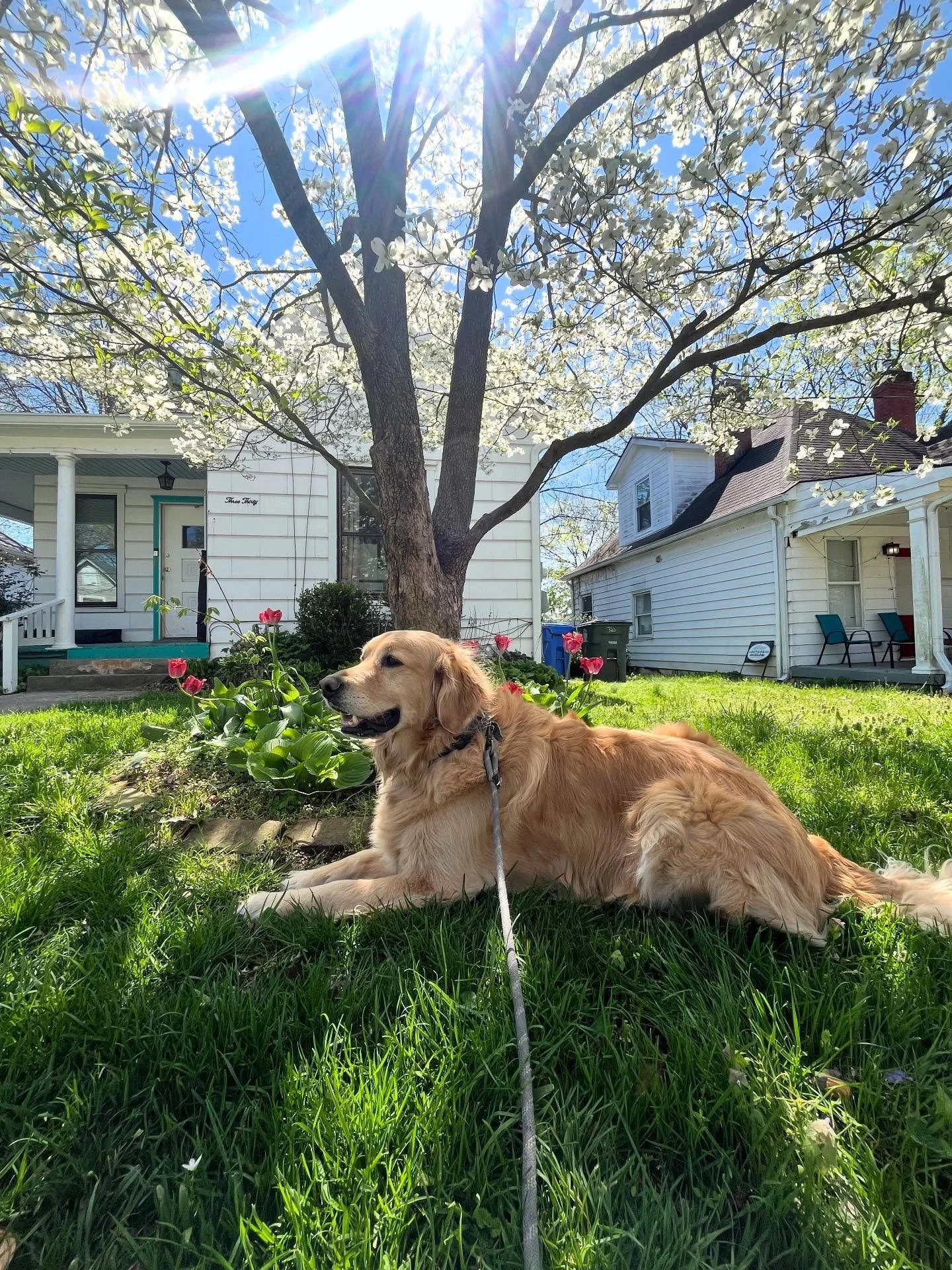 Expectations vs. reality behind the photos lol ft wonderful Bovie 🌷