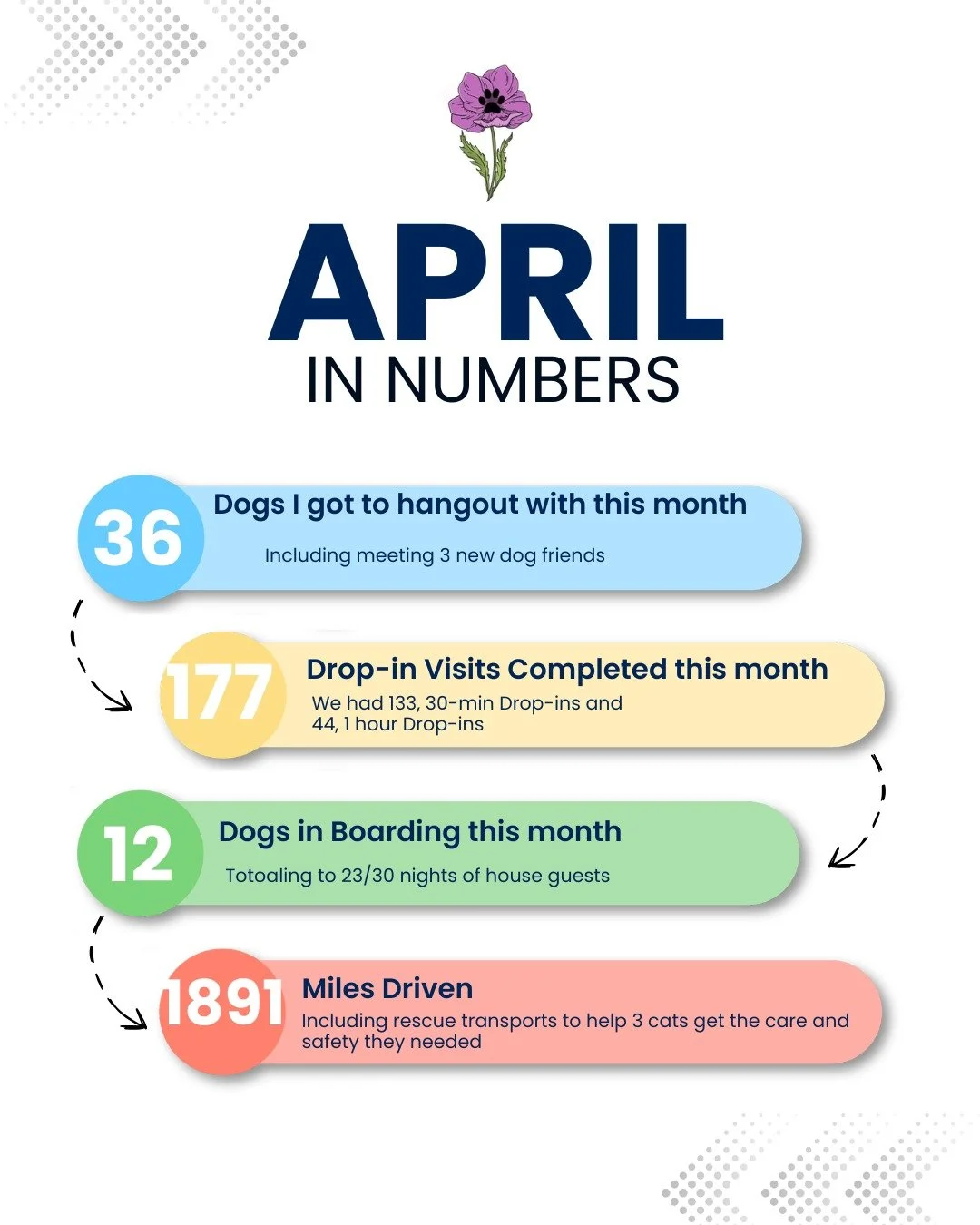 April was so busy with regular clients, people traveling, and spring breaks. I just really wanted to document this accomplishment and how much time goes into caring for each and every pet. Thank you so much to my clients that allow me to hangout with