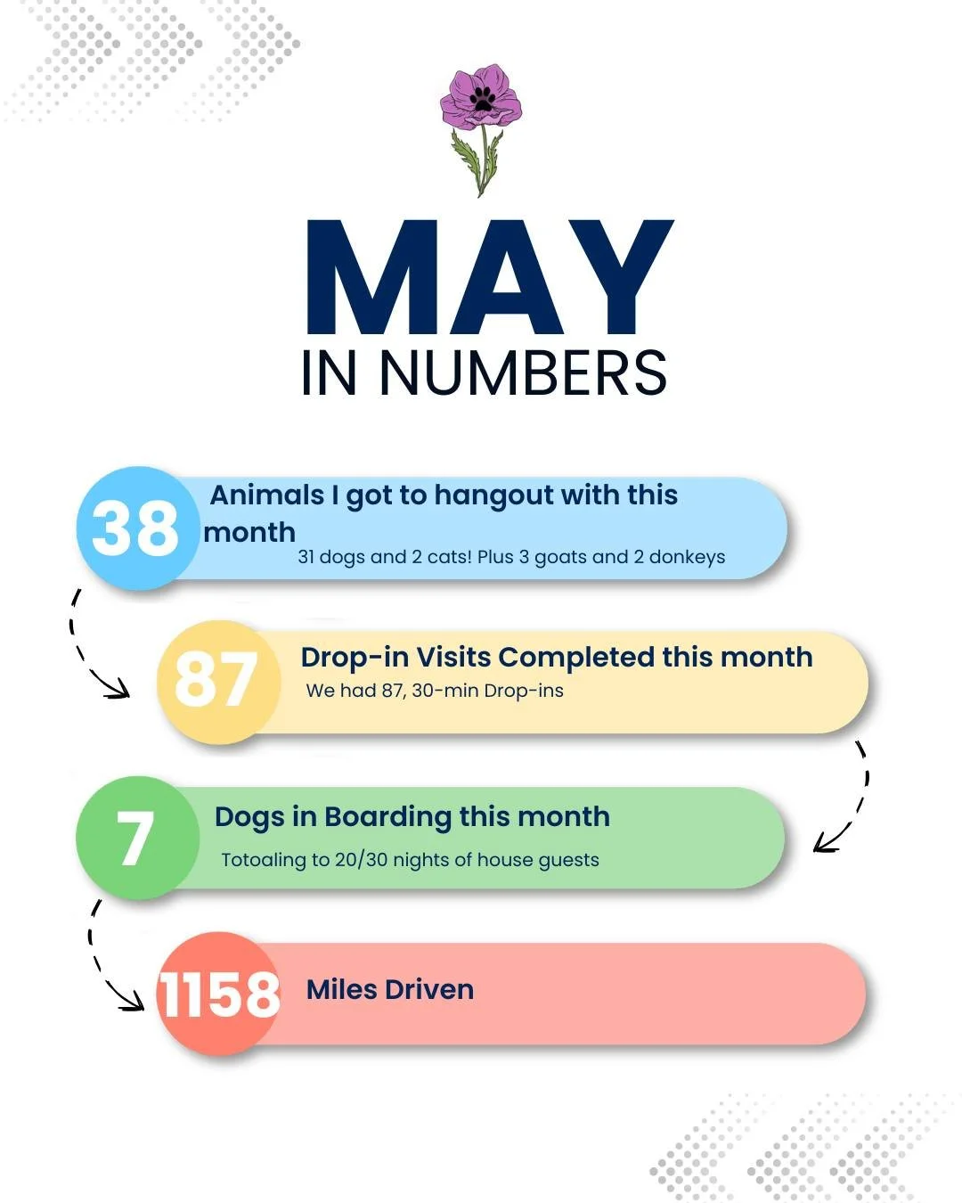 It's May review time! This month was a little less hectic, but wonderfully steady. As a small business owner, its greatly appreciated and keeps the dream going. A huge thanks to my clients and all the adorable furbabies I get to hangout with! 🐾