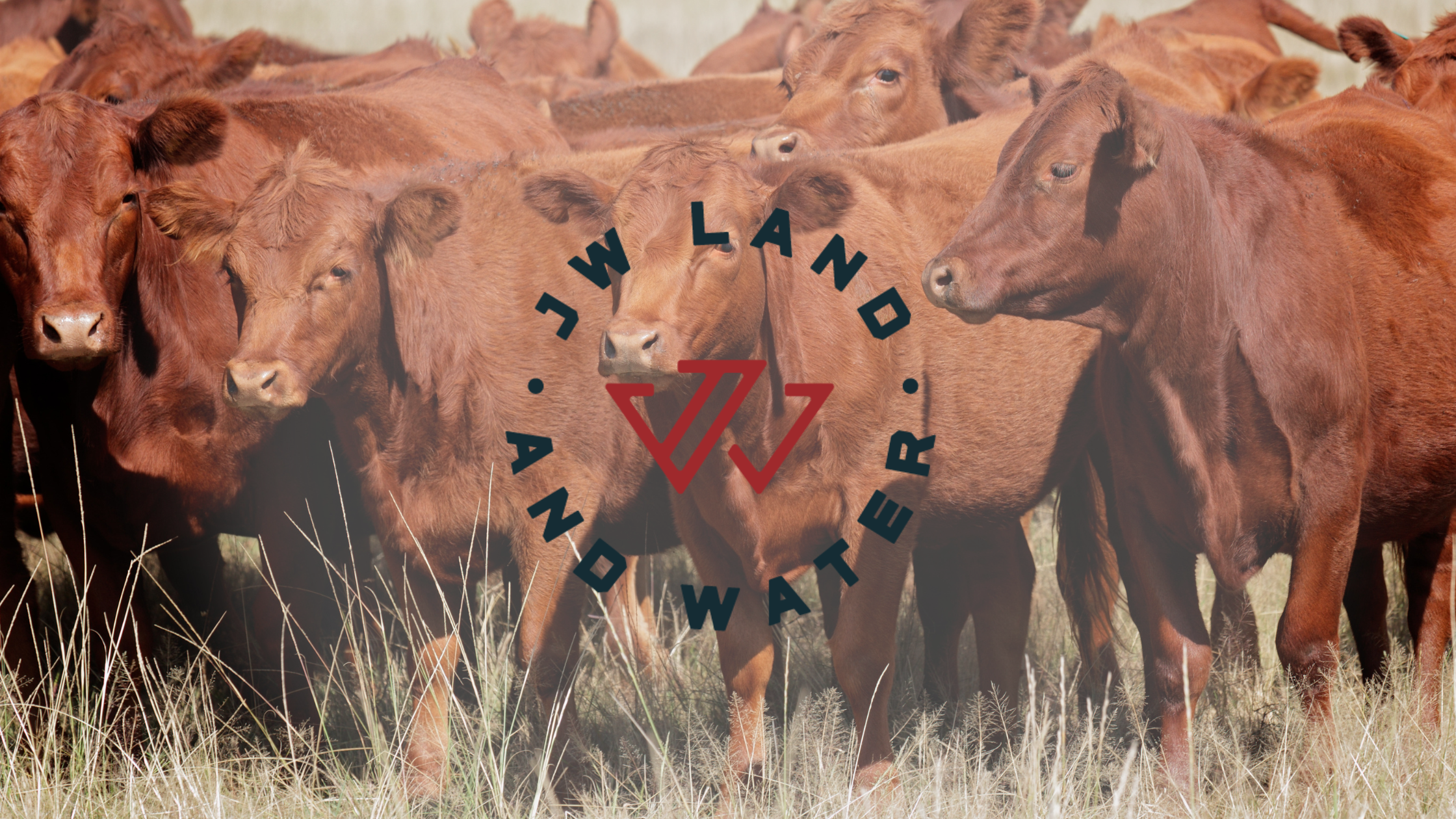 Designing Water Infrastructure For Livestock Properties