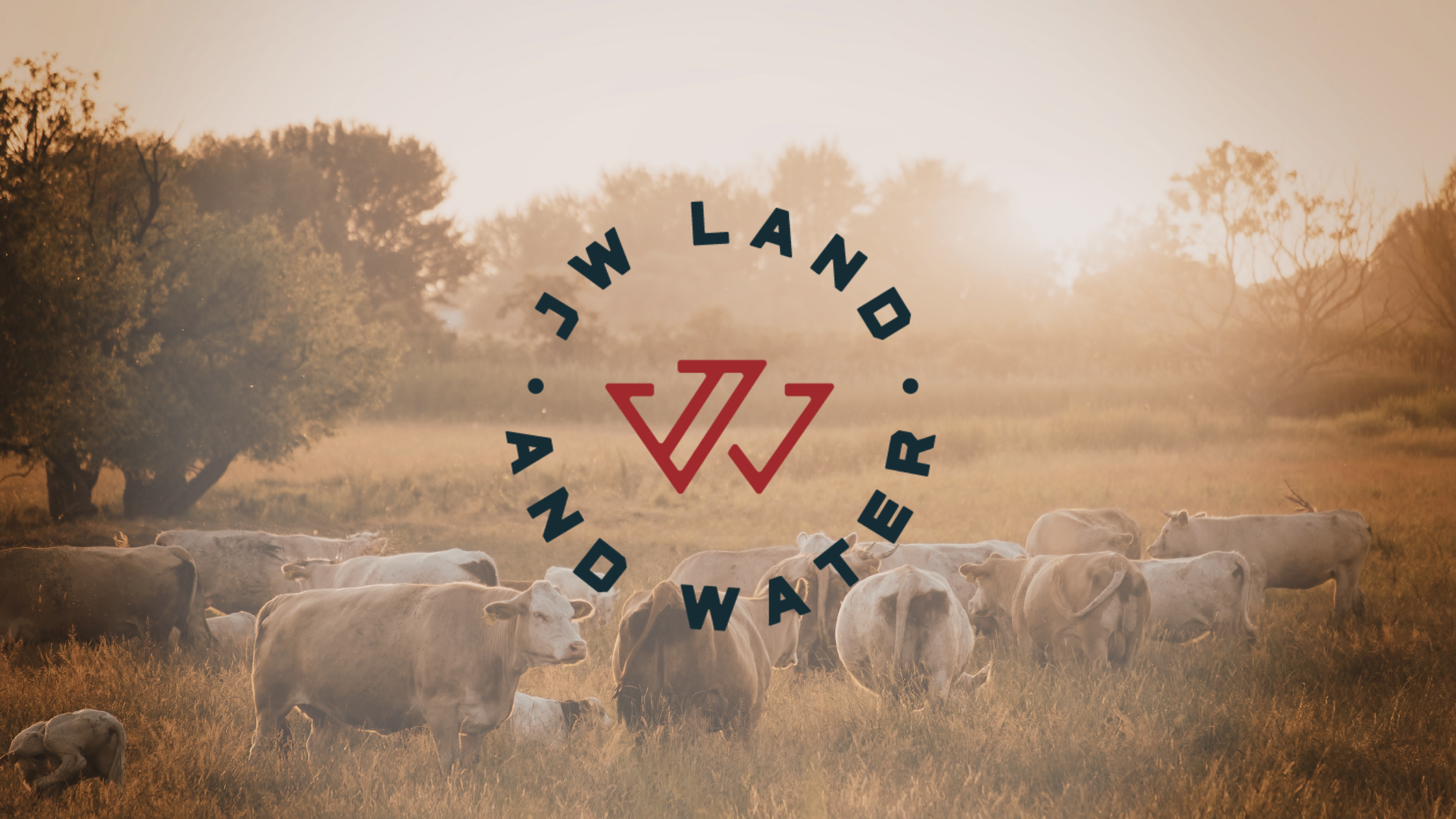 Protecting Pasture Health During North Texas Drought And Heat