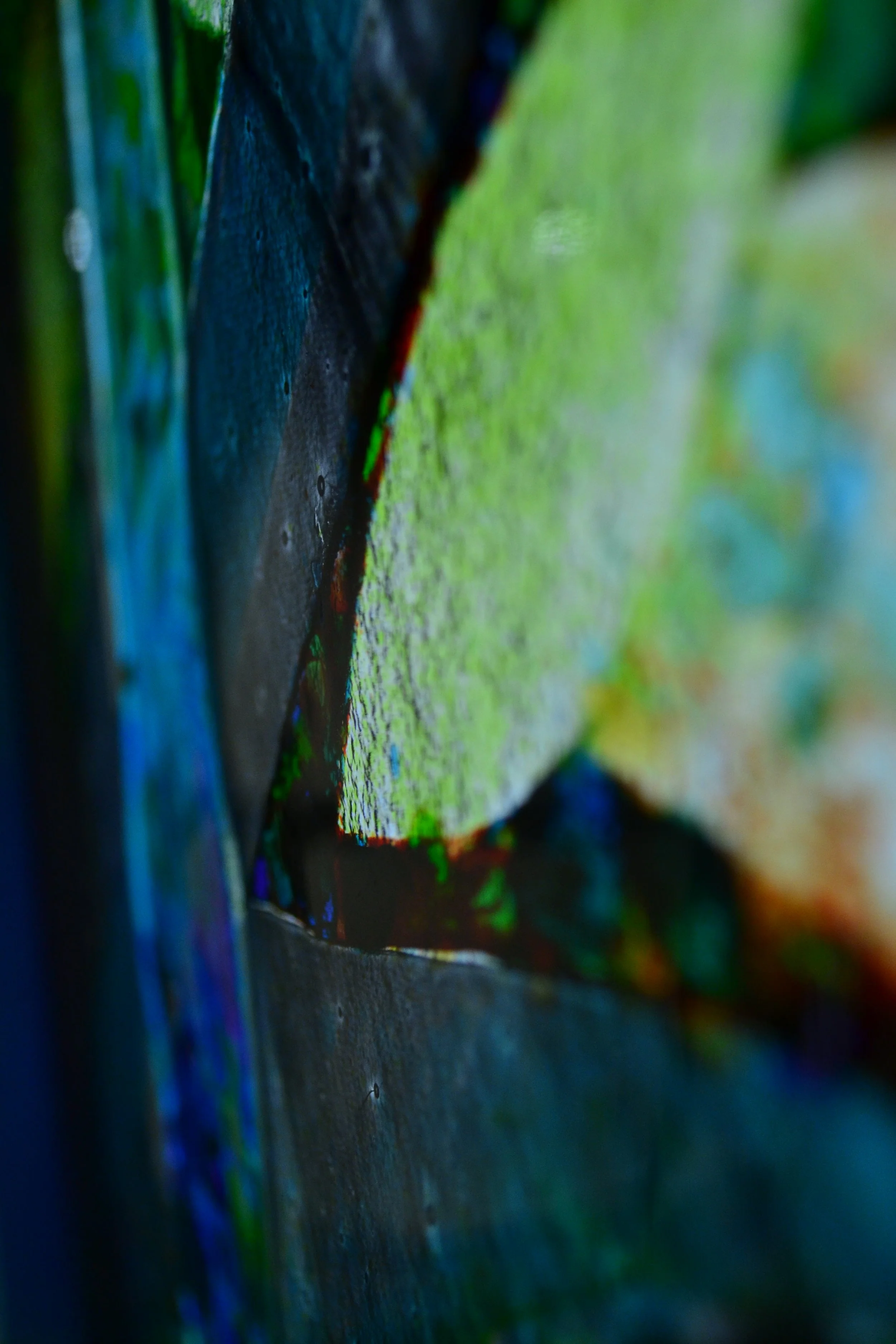 DSC_0387.JPG