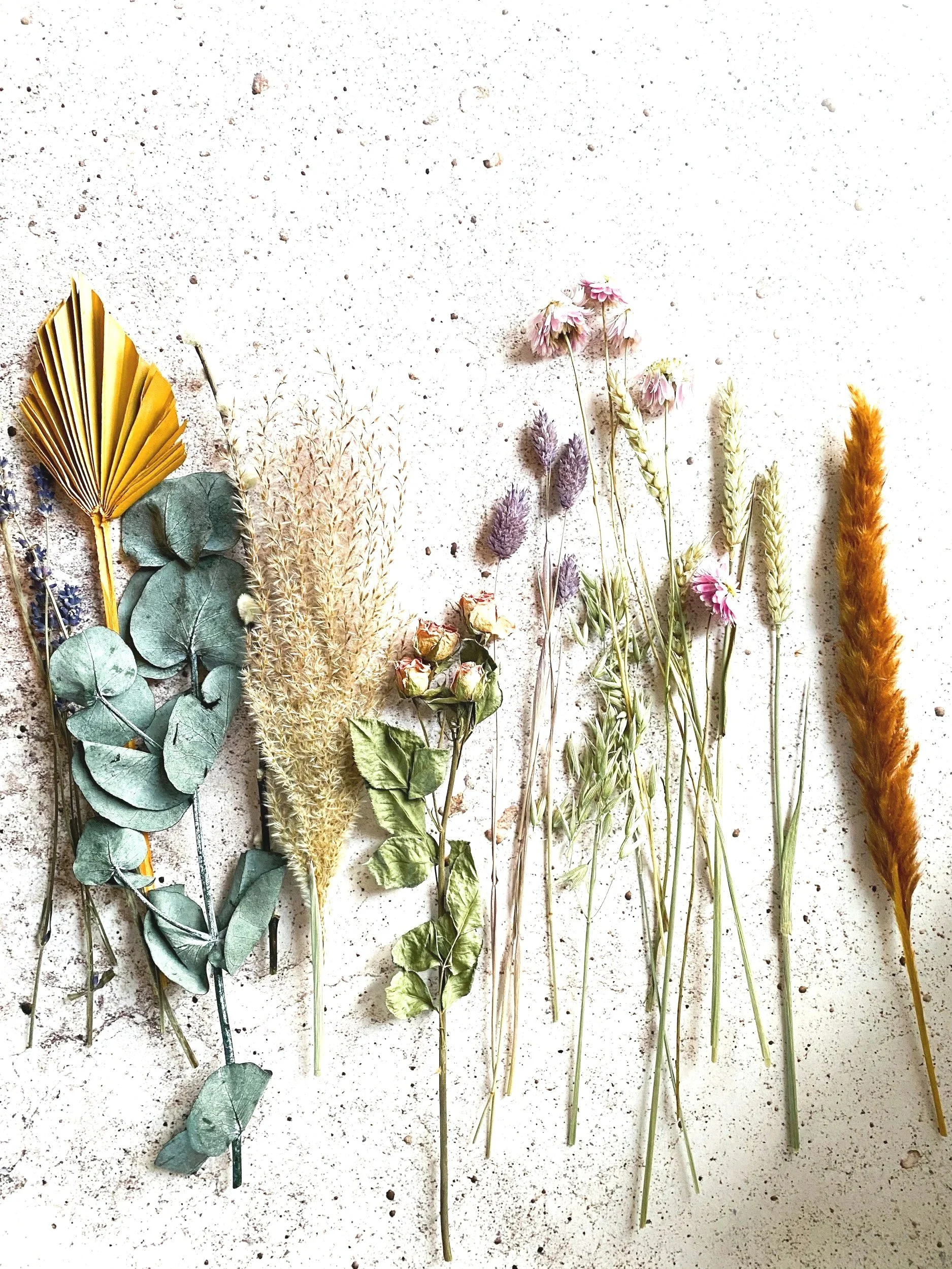 Arrangement of dried pressed flowers and foliage on a white background.