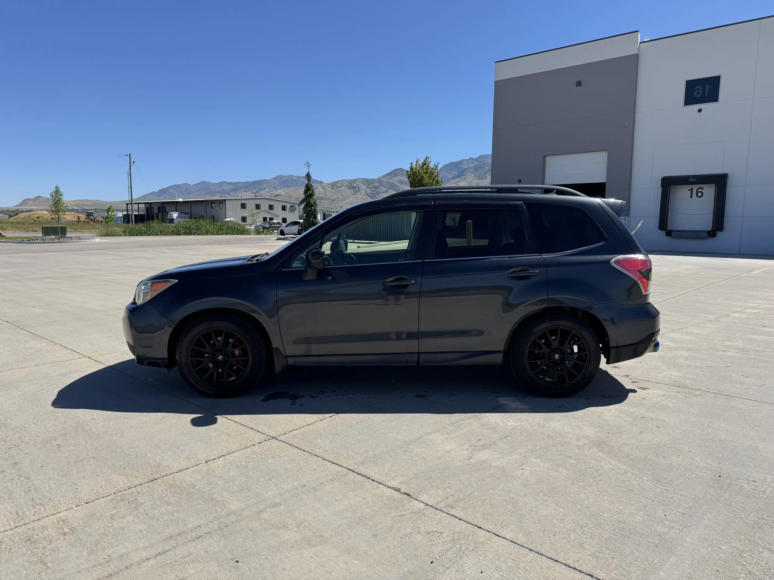 IMG_2858.jpeg