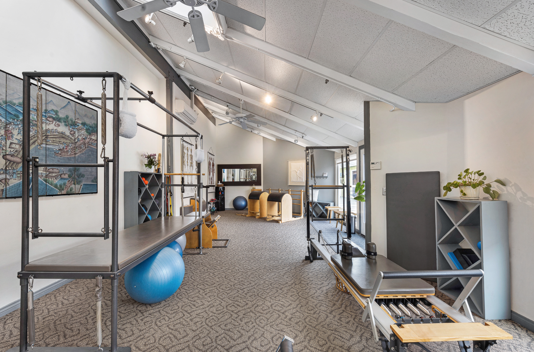 Interior of a Pilates or physical therapy studio with various exercise equipment including stability balls, Pilates reformer machine, plyometric boxes, and wall-mounted resistance bands, with artwork and plants on nearby shelves.