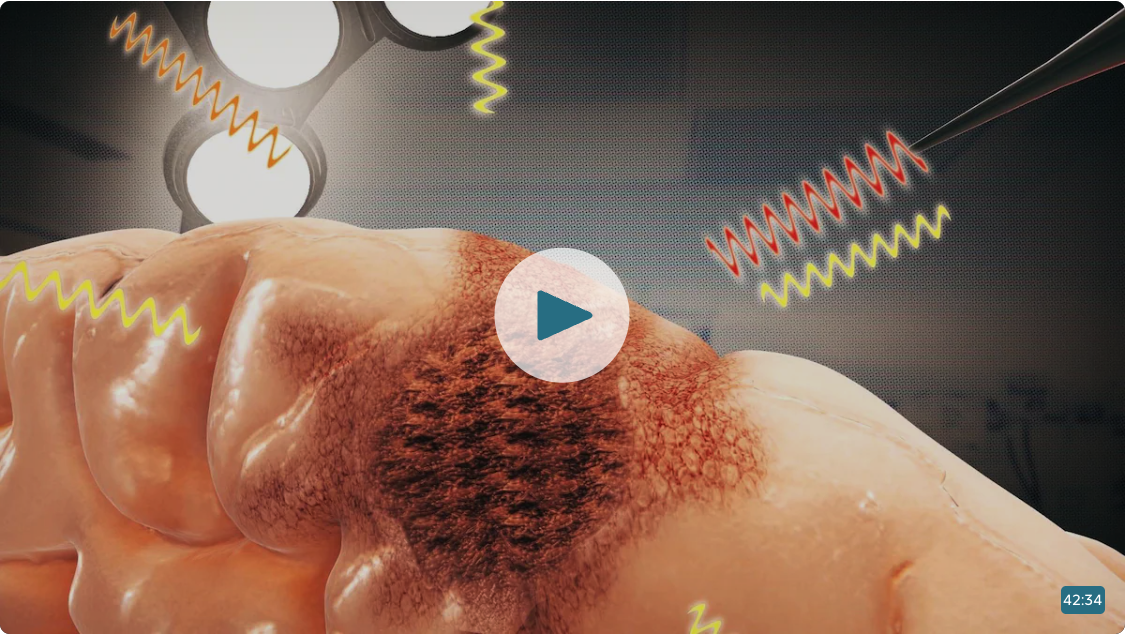 Découverte - Épisode du 26 avril 2026