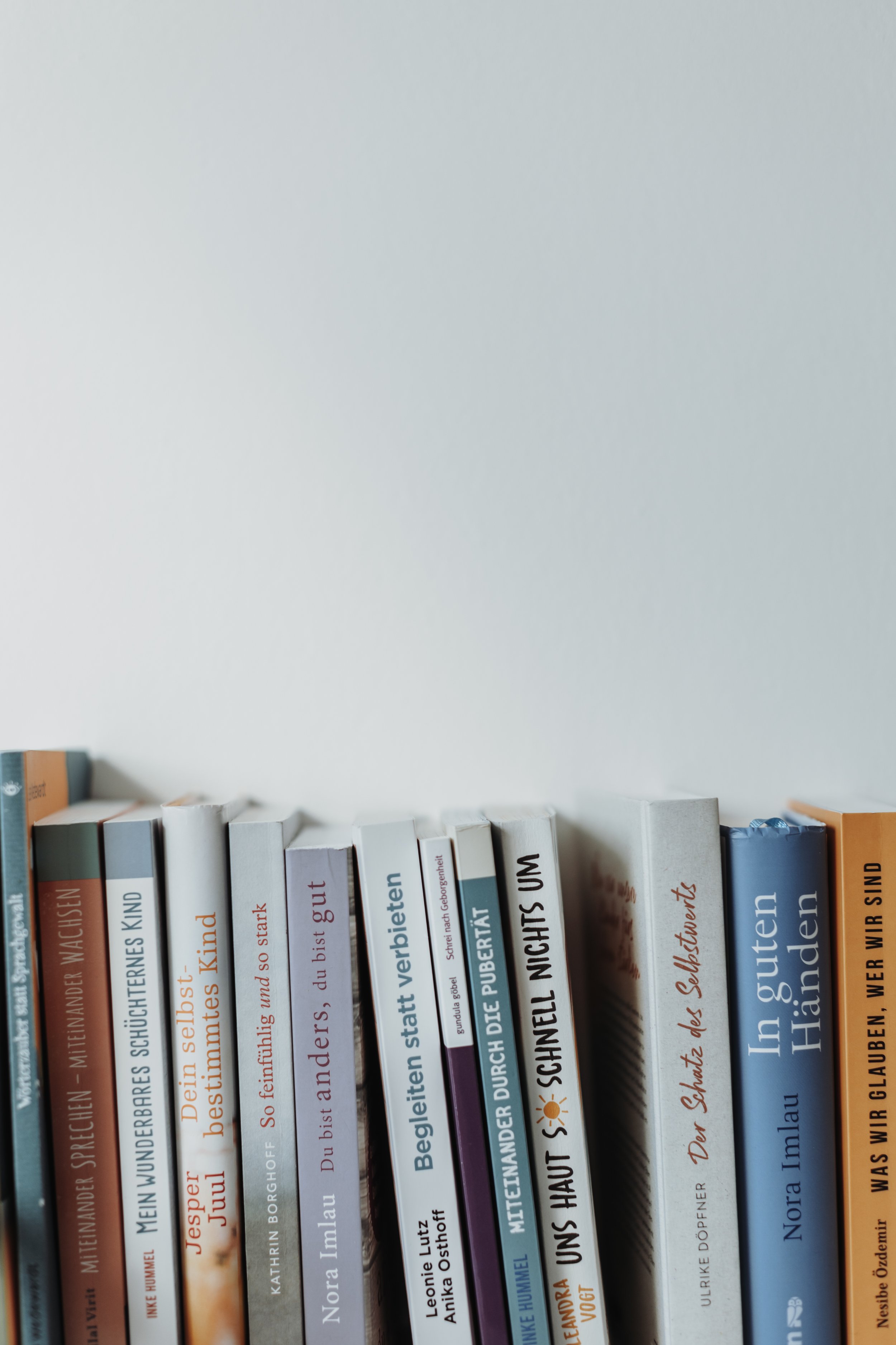 Bücherregal mit mehreren deutschen Büchern verschiedener Farben und Titel, teilweise sichtbar.