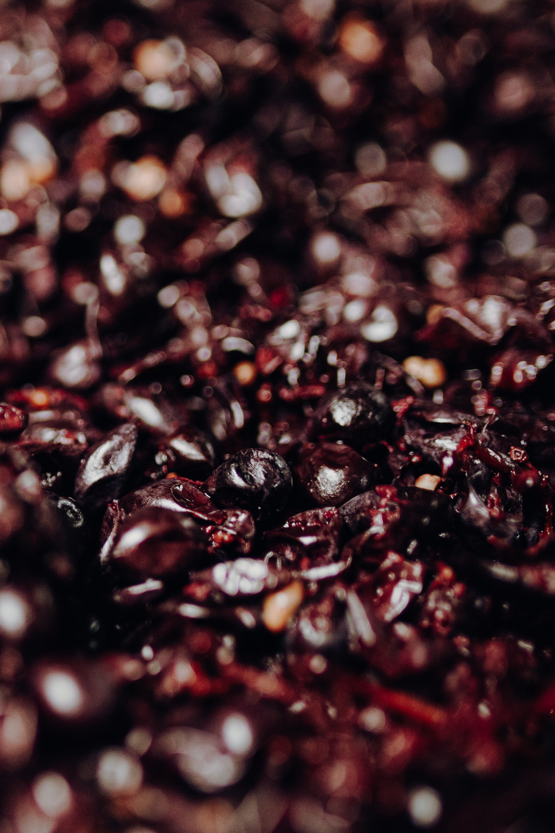 Nahaufnahme von schwarzen Johannisbeeren
