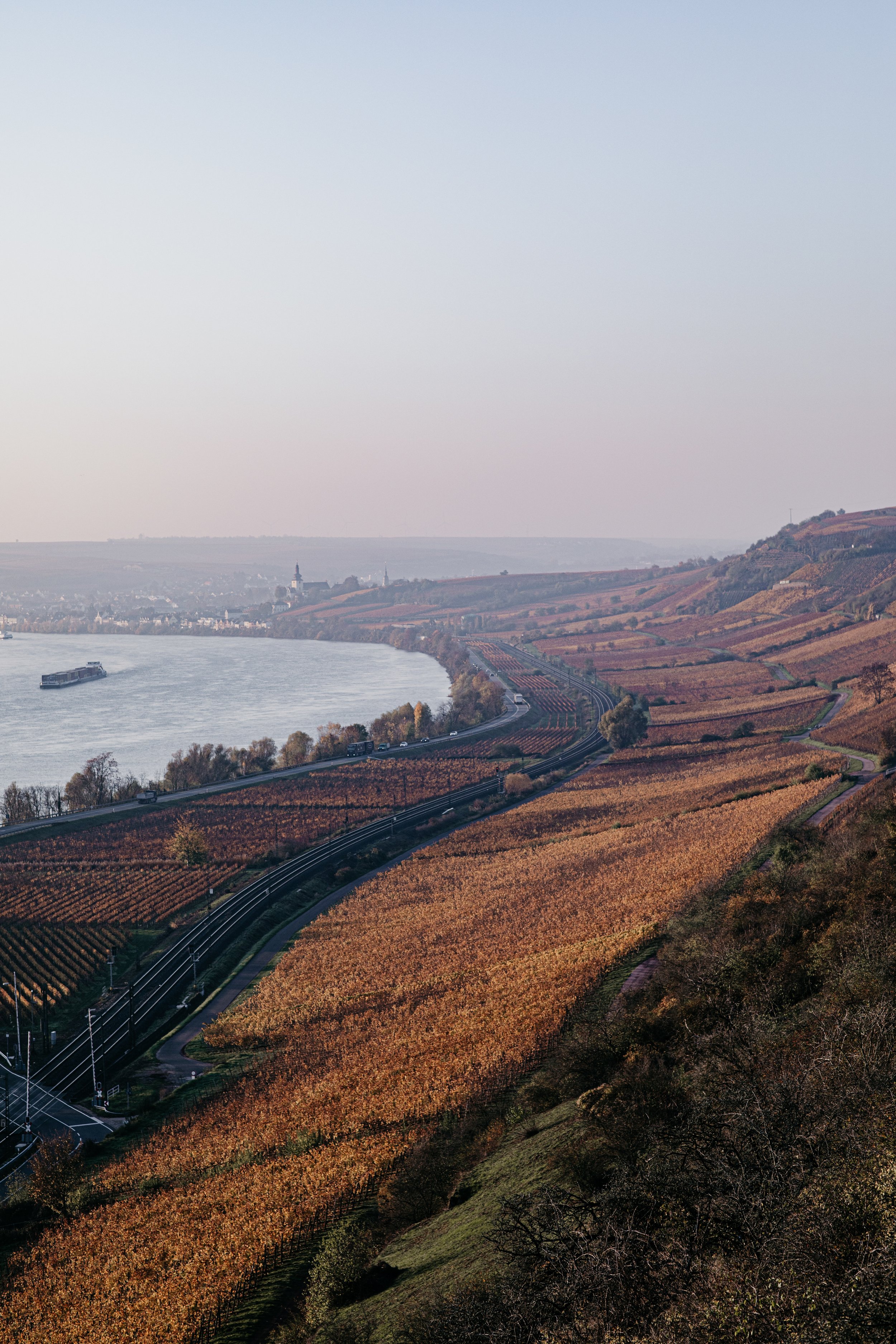 Blick auf den Rhein mit Weingärten an den Hängen und einem Flusskreuzfahrtschiff auf dem Wasser.