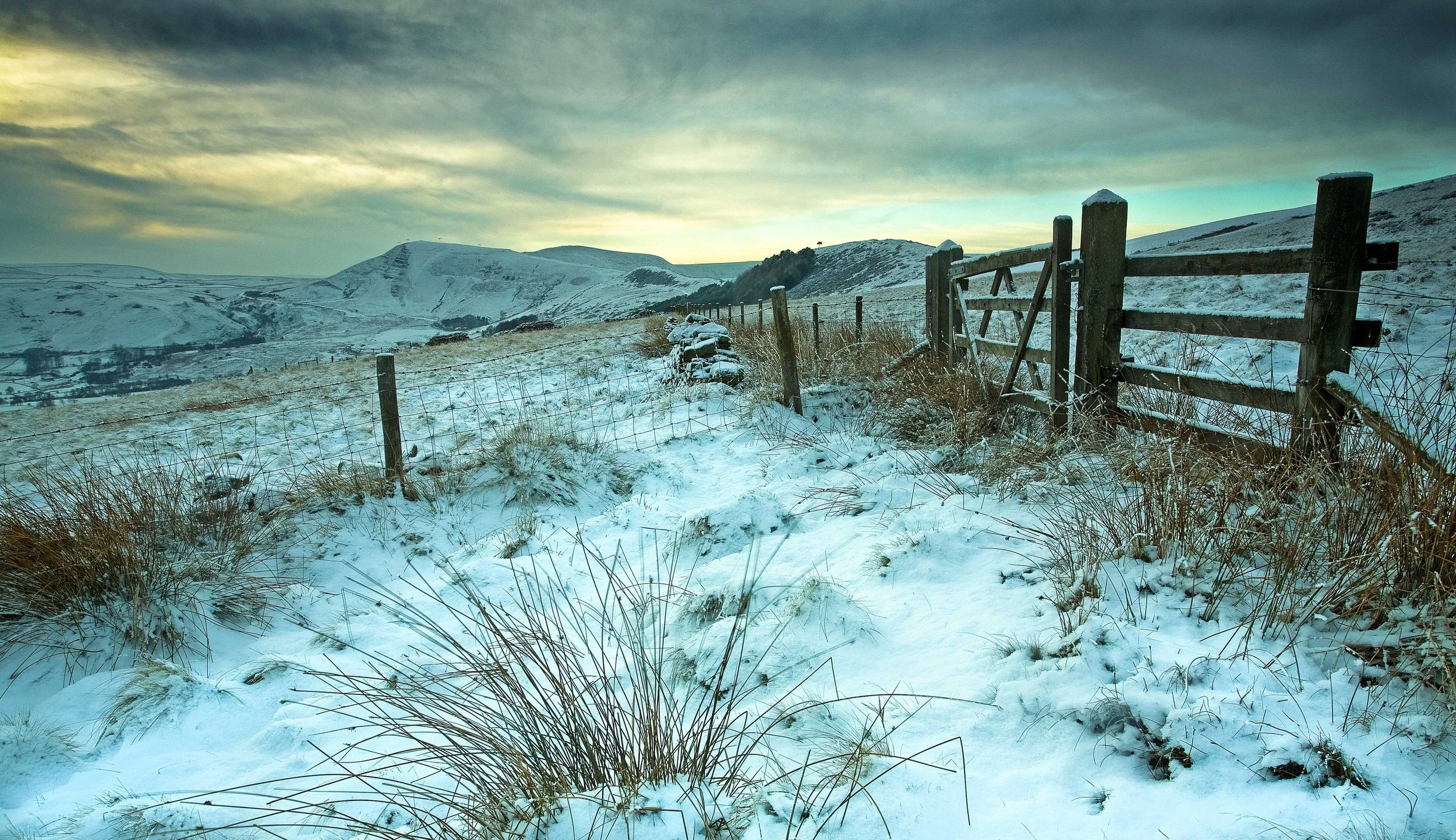 Mamtor2.jpg