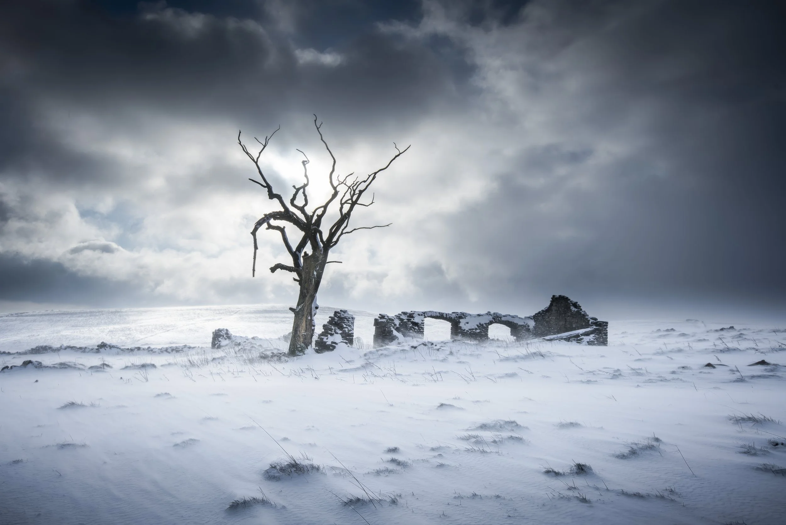 Cow Low - Shortlisted Landscape Photographer Of The Year LPOTY 2020