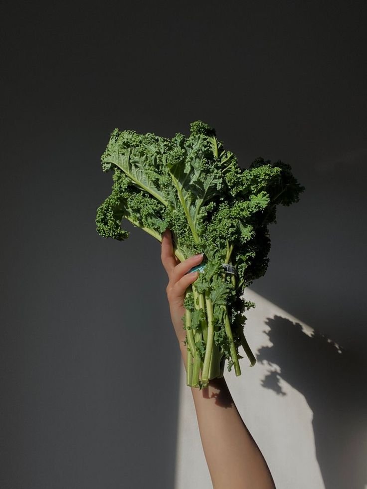 What is a Superfood and Why You Need Them in Your Life