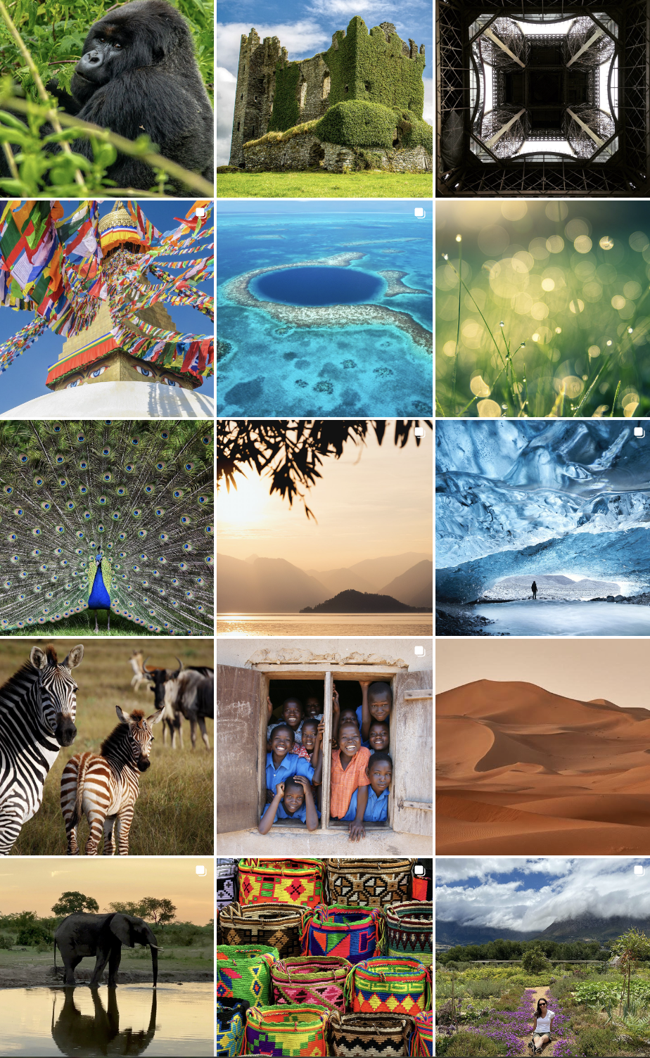 Screenshot 2024-11-25 at 11.59.49 AM.png