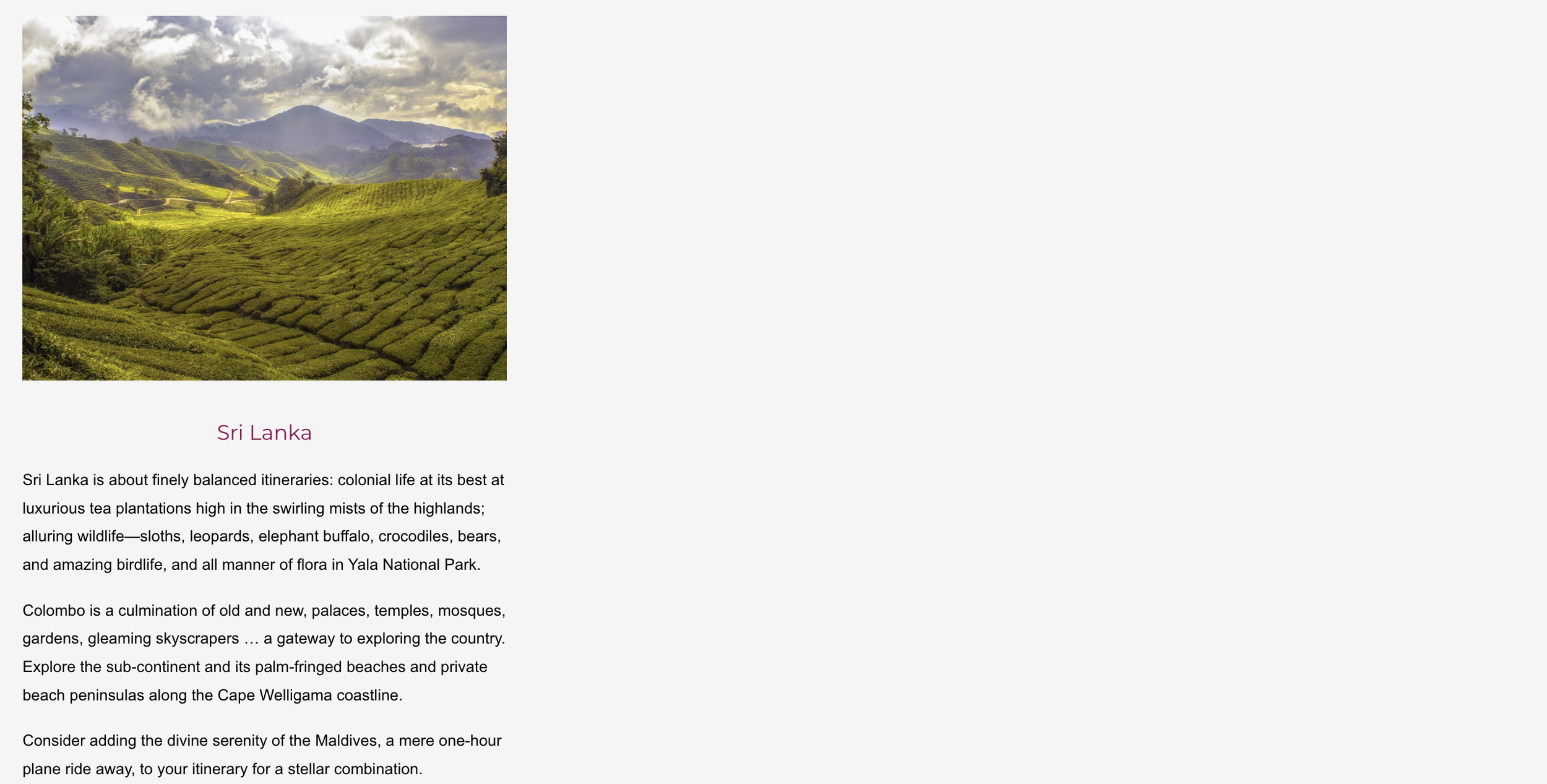 Screenshot 2024-11-26 at 9.29.33 AM.png