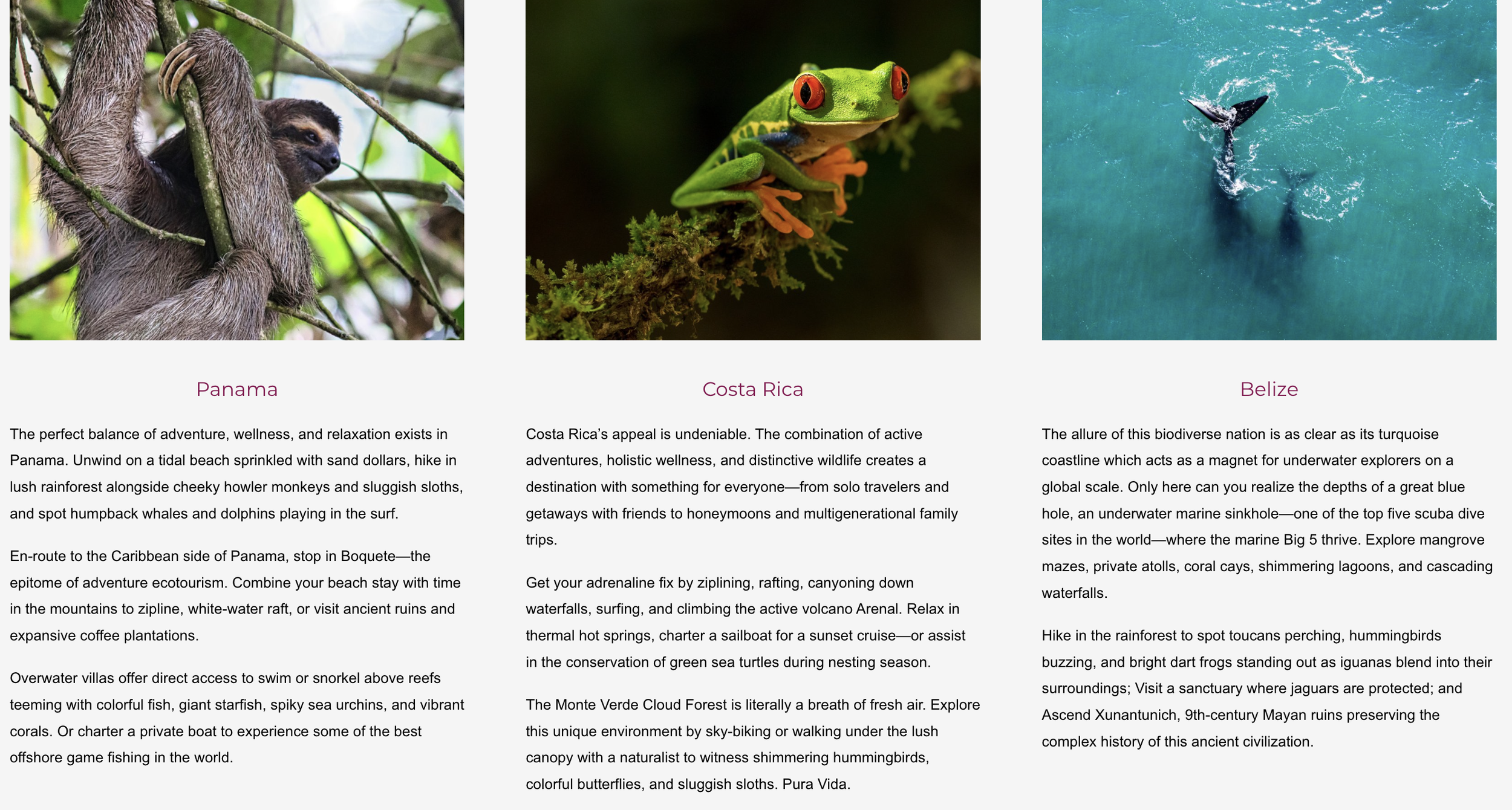 Screenshot 2024-11-26 at 9.26.21 AM.png