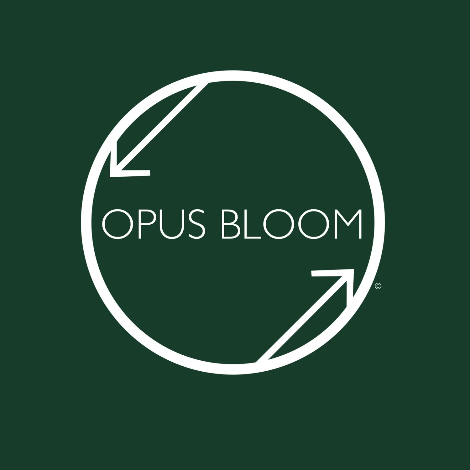 OPUS BLOOM CAPITAL