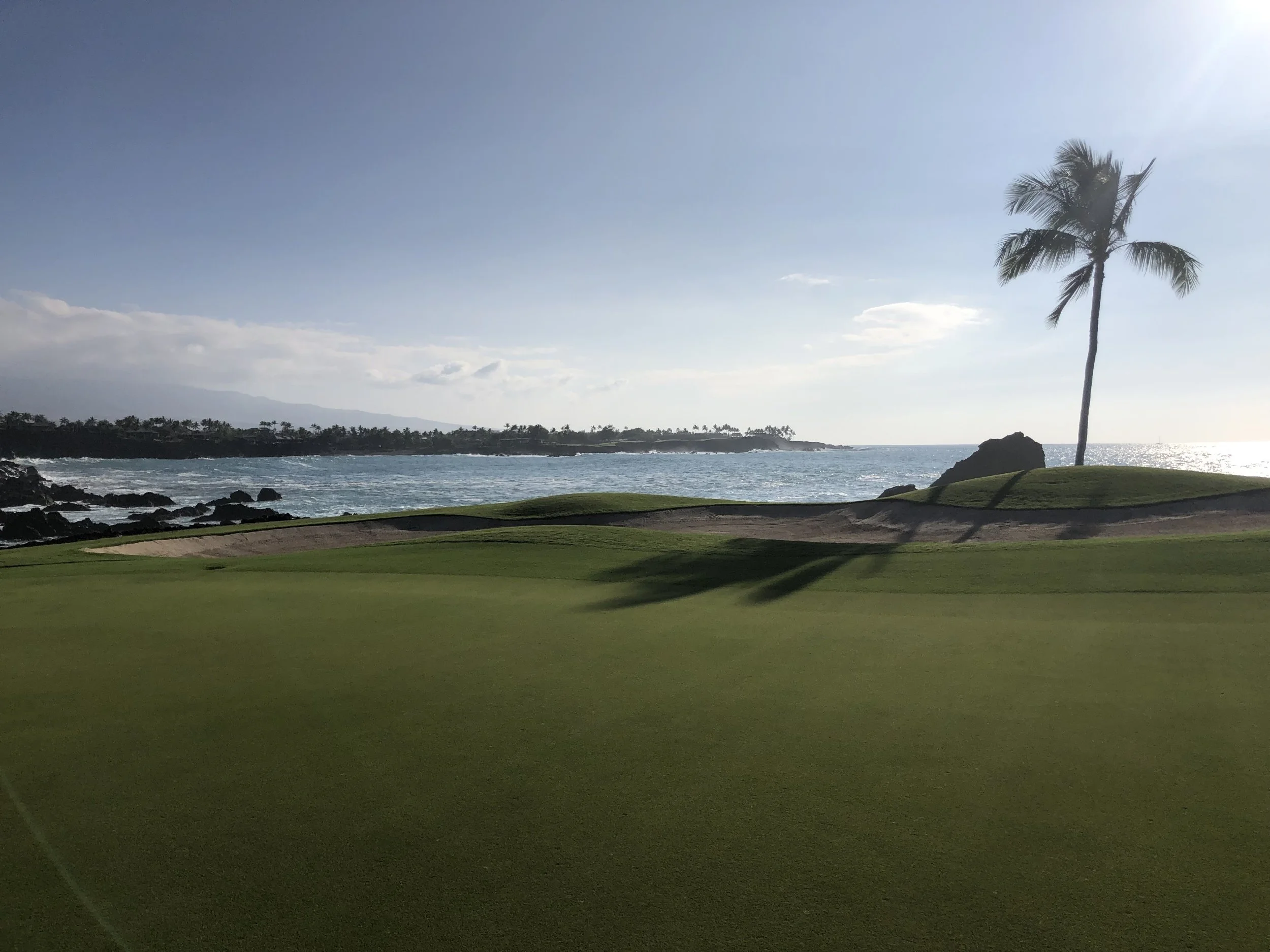 Golf course with ocean view, featuring green grass, palm tree, and sandy bunker, under a blue sky.