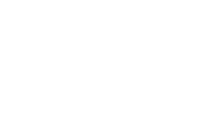 LeaderEI®