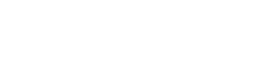 LeaderEI