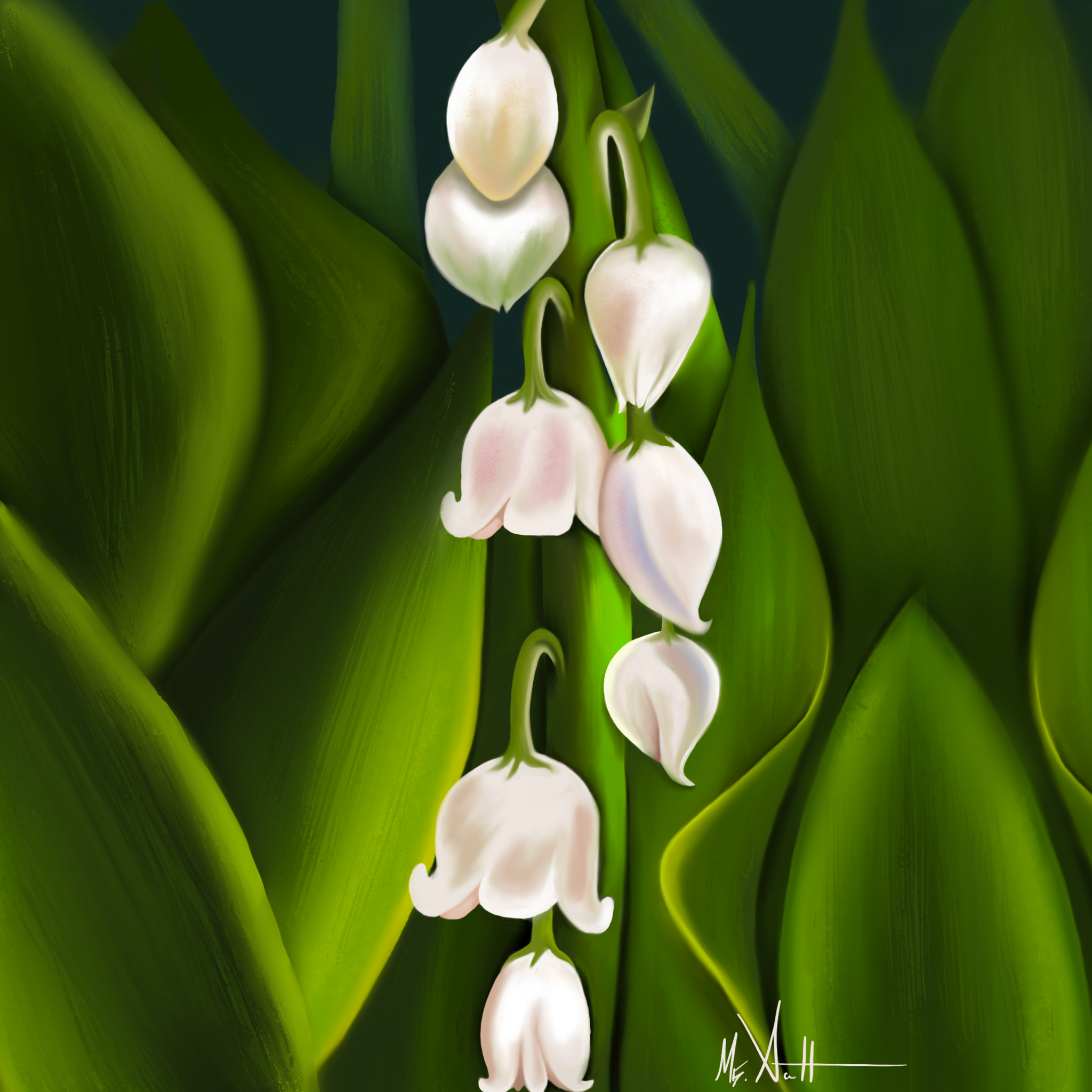 IMG_3178.png