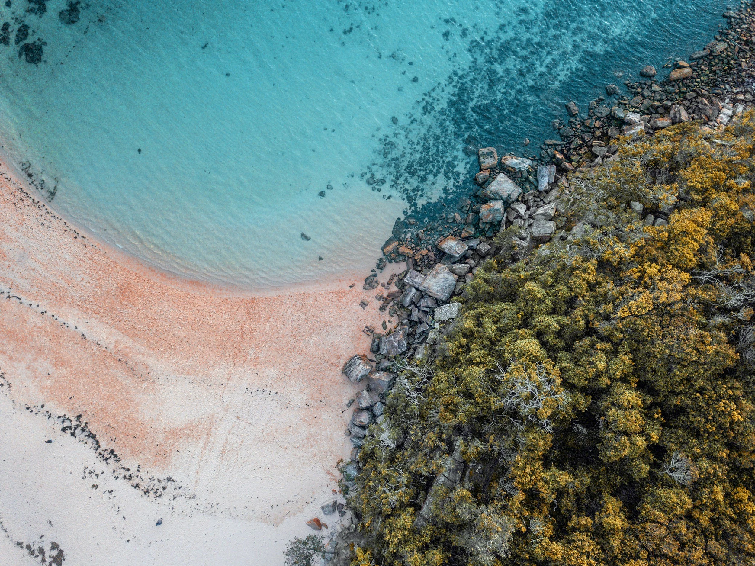 unsplash-image-qtWJw4MdF5Q.jpg