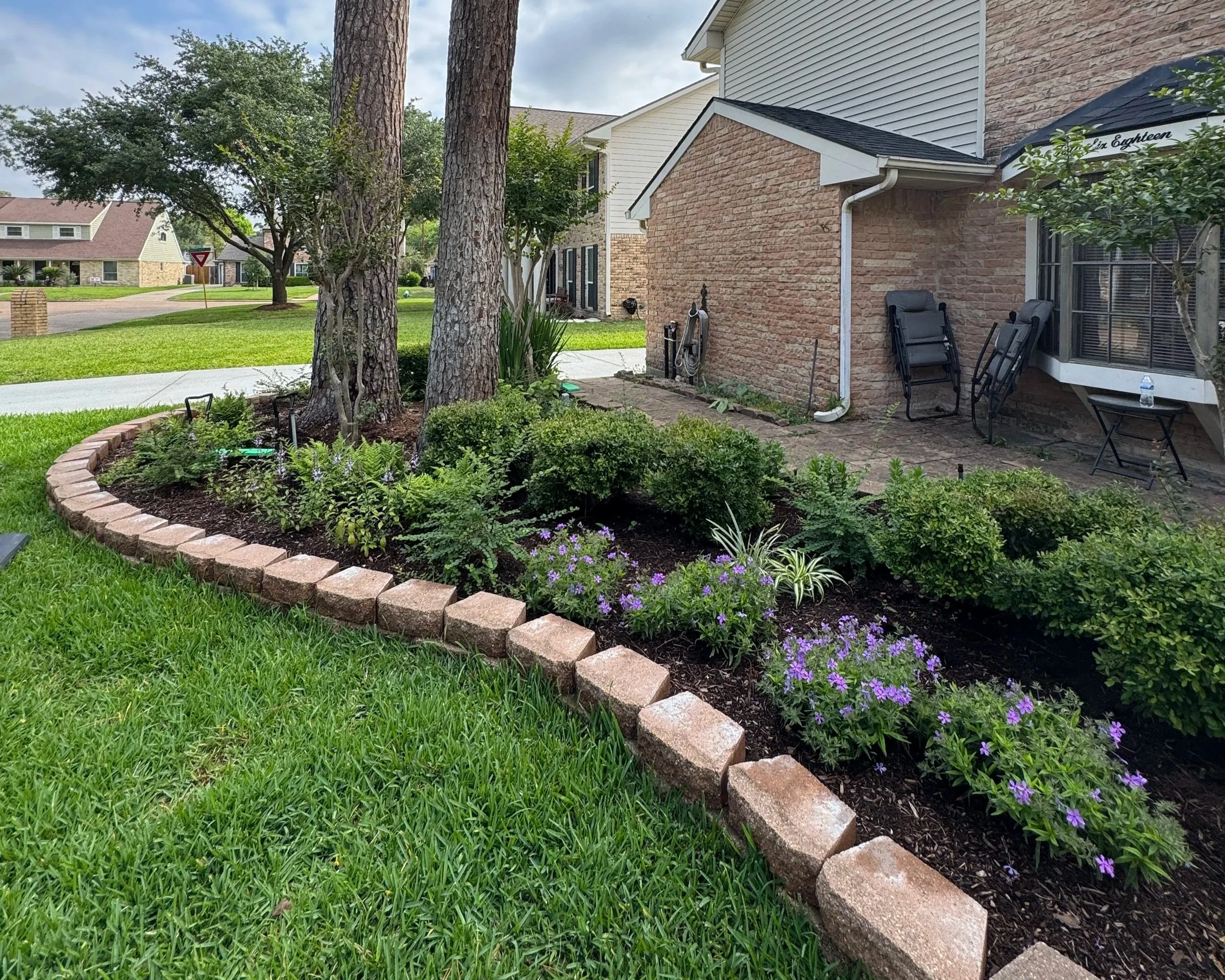 Native plants garden designed by Flourish garden solutions in shade.