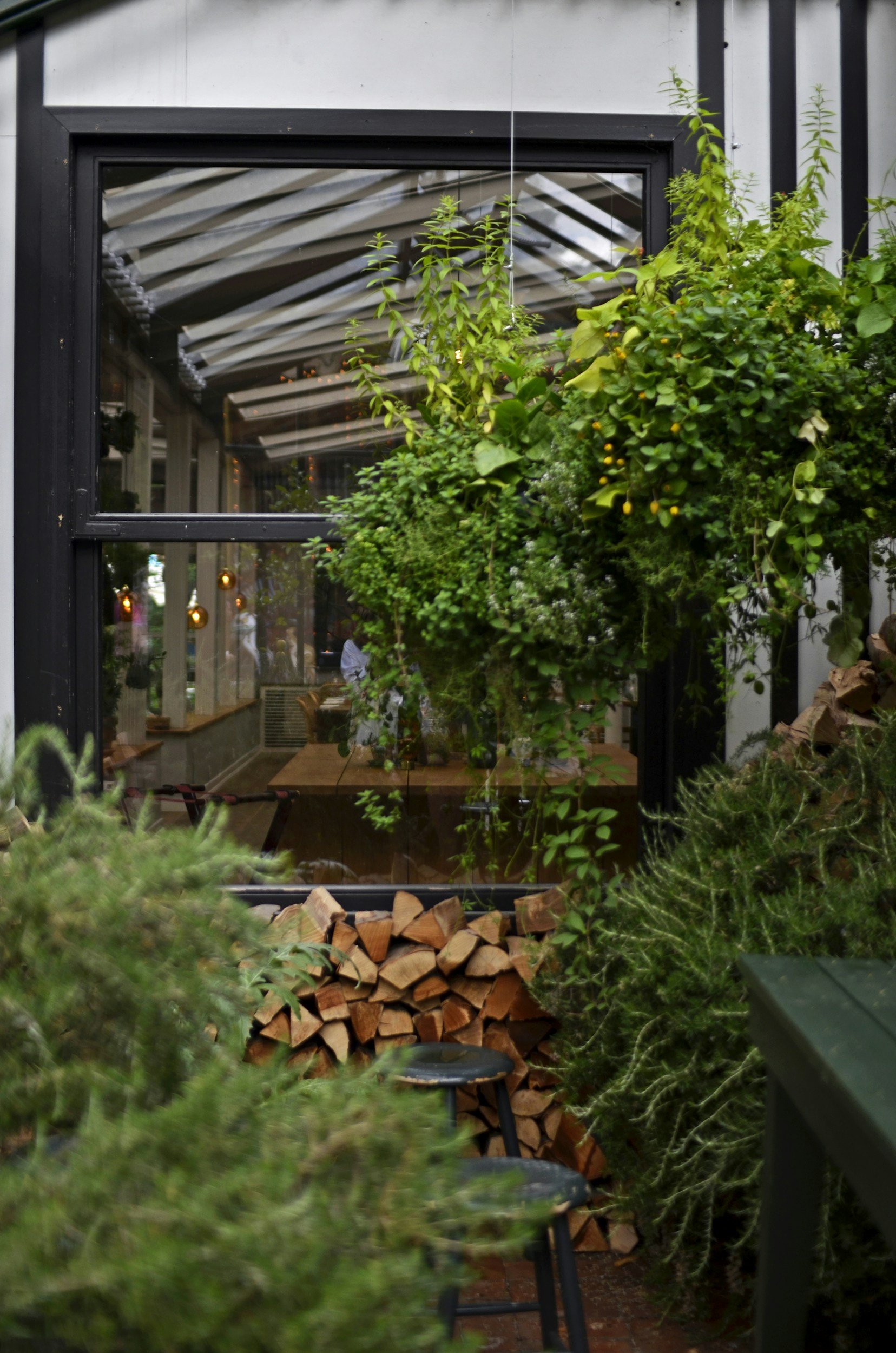 Why More Restaurants Should Grow Their Own Herbs