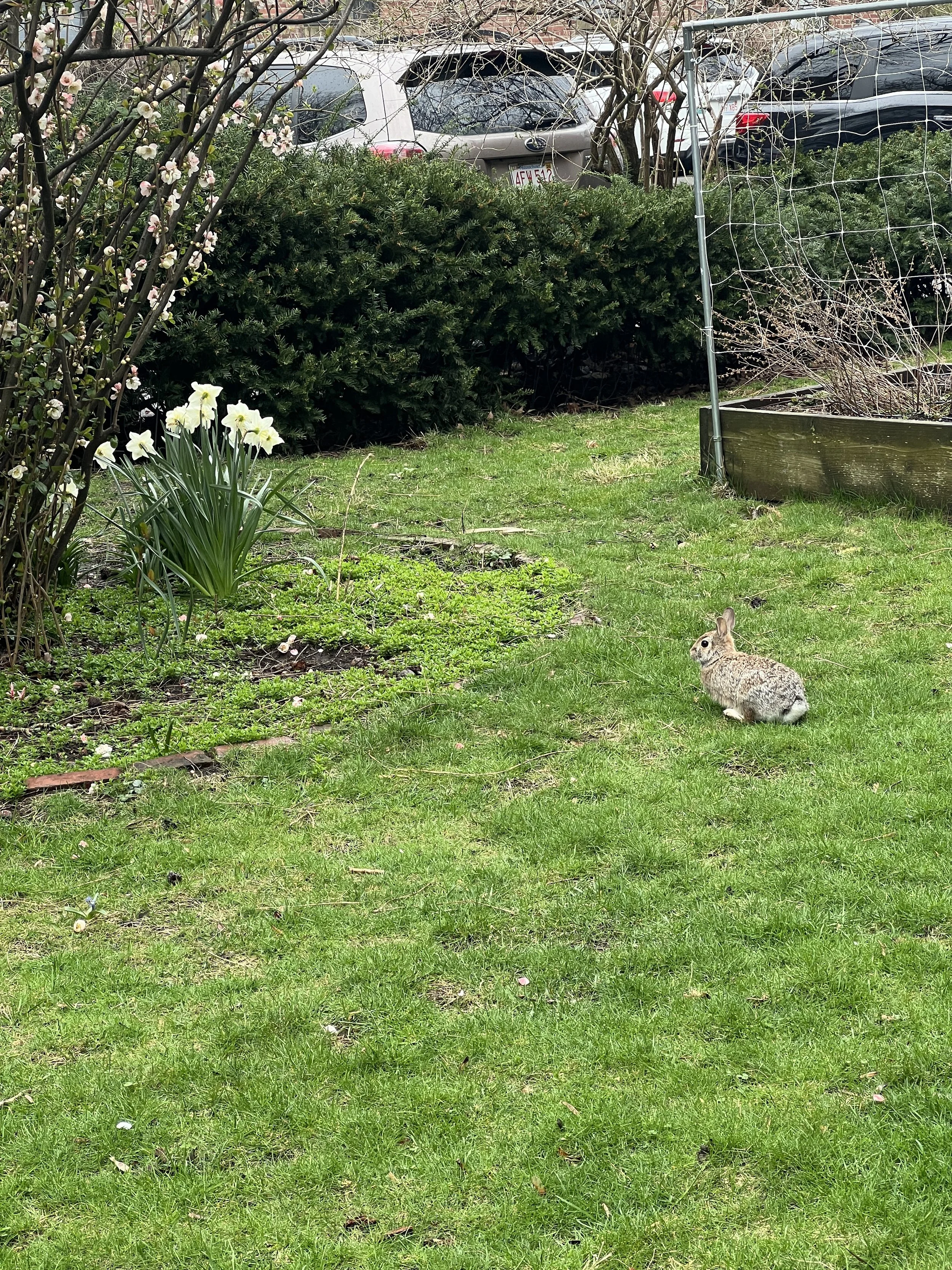 Before You Spend Another Dollar at the Nursery, Read This