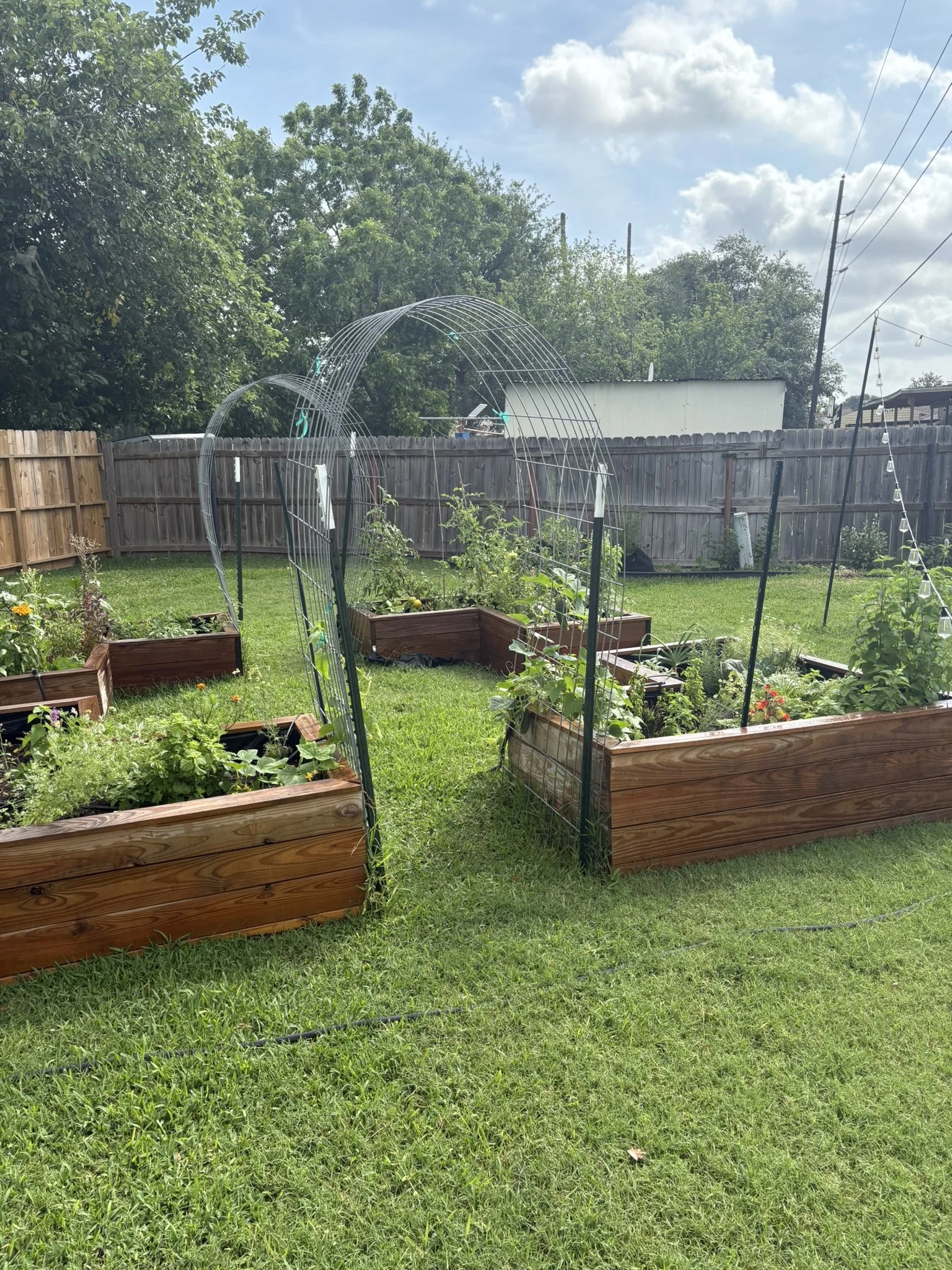 Your Spring Veggie Garden Starts Now (But Not All of It)