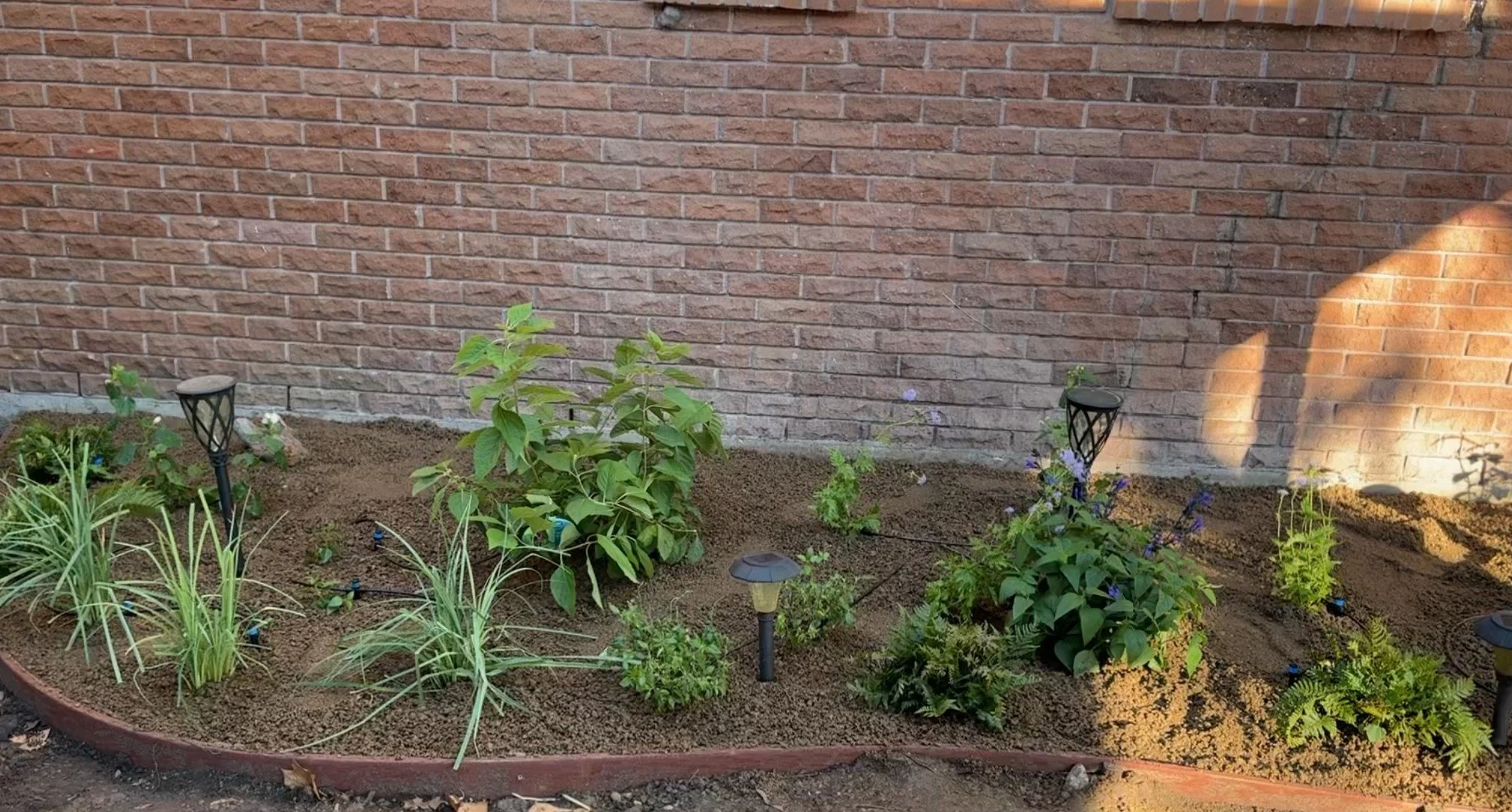 Native Shade Garden