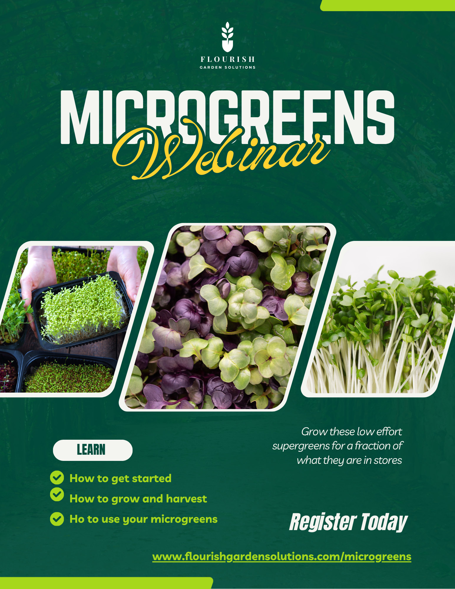 Microgreens.png