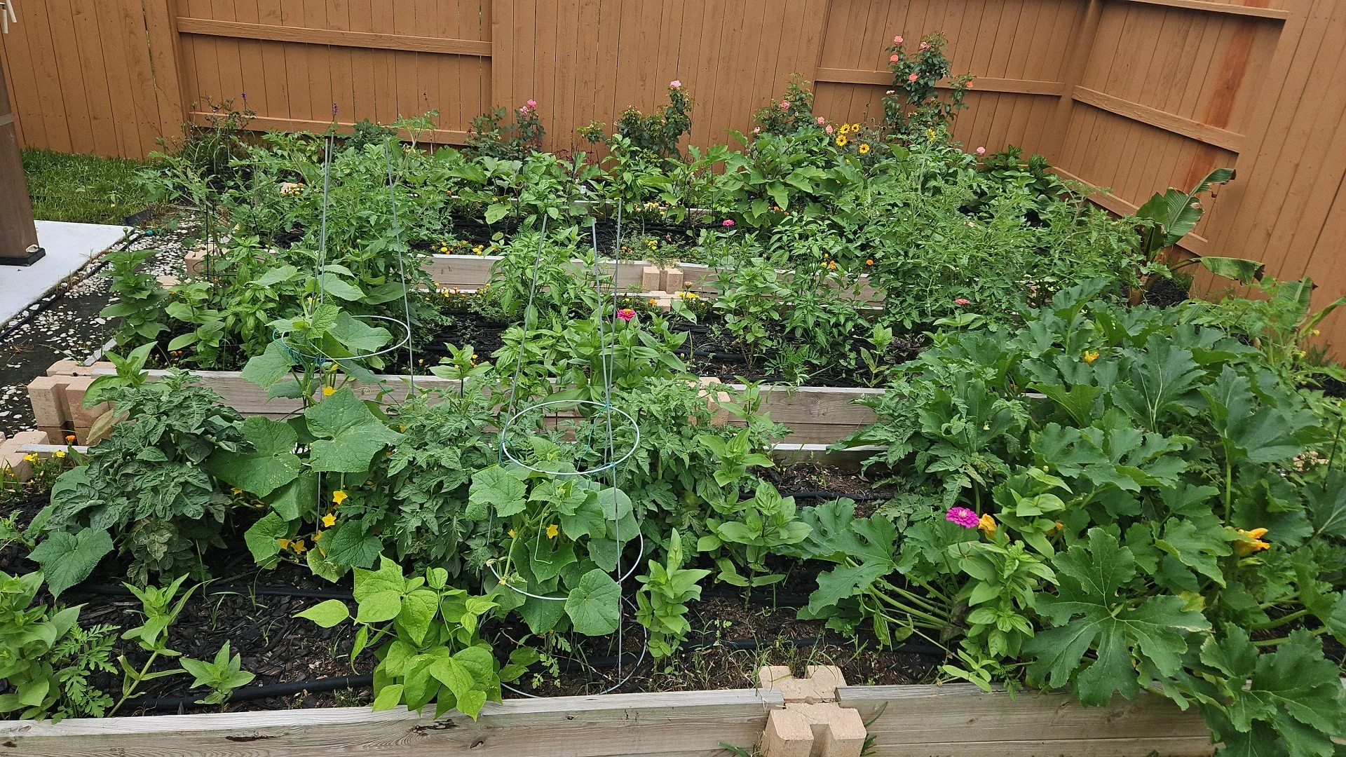 Flourish Garden Solutions client garden after guidance.