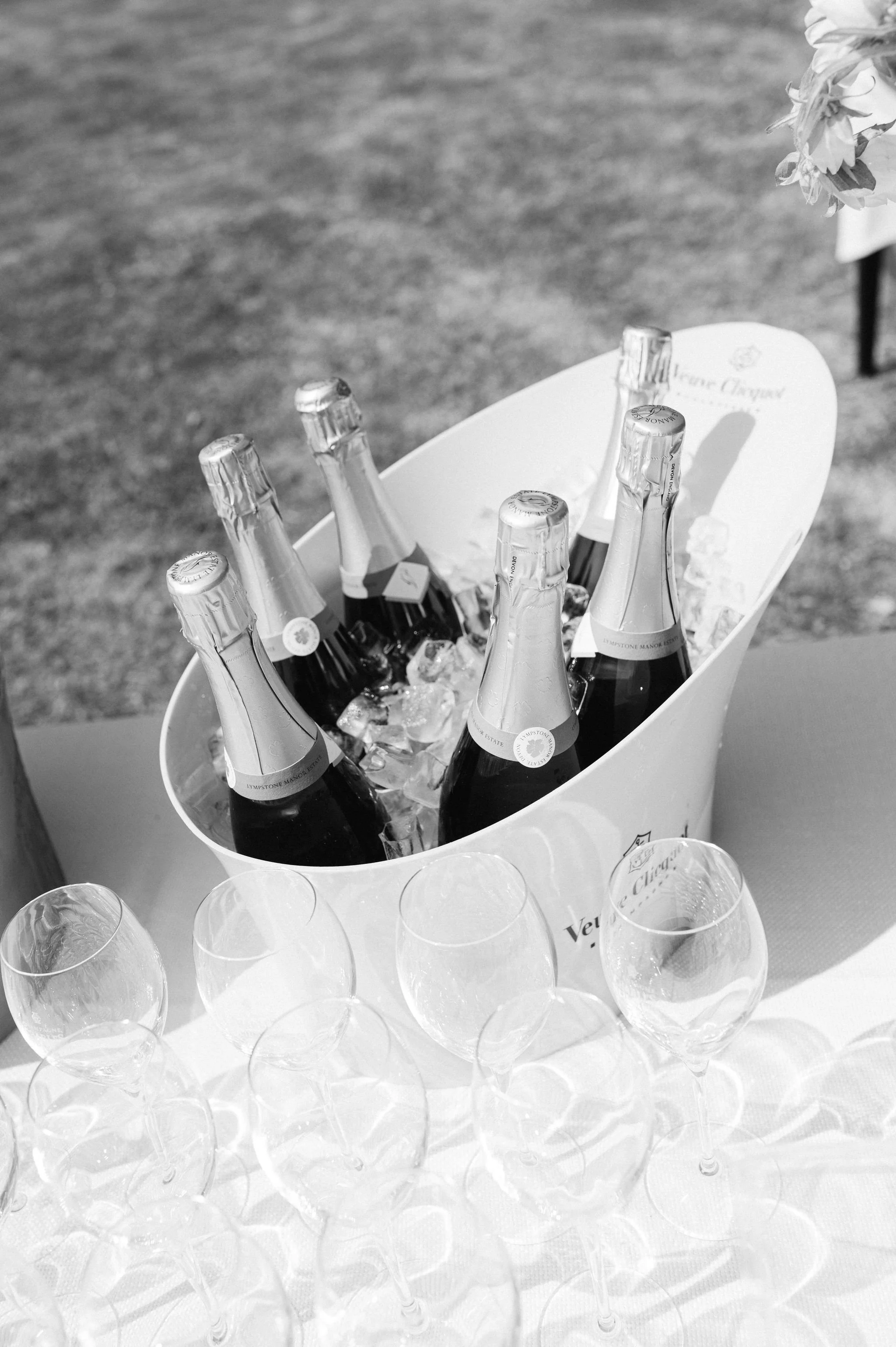 Tara-Statton-Photography(134).jpg