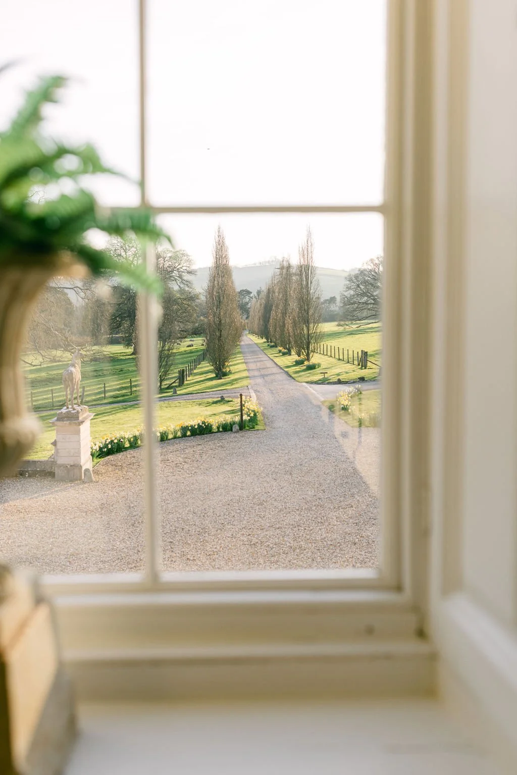 Tara-Statton-Photography-Pynes-House-Wedding-Devon (145).jpg