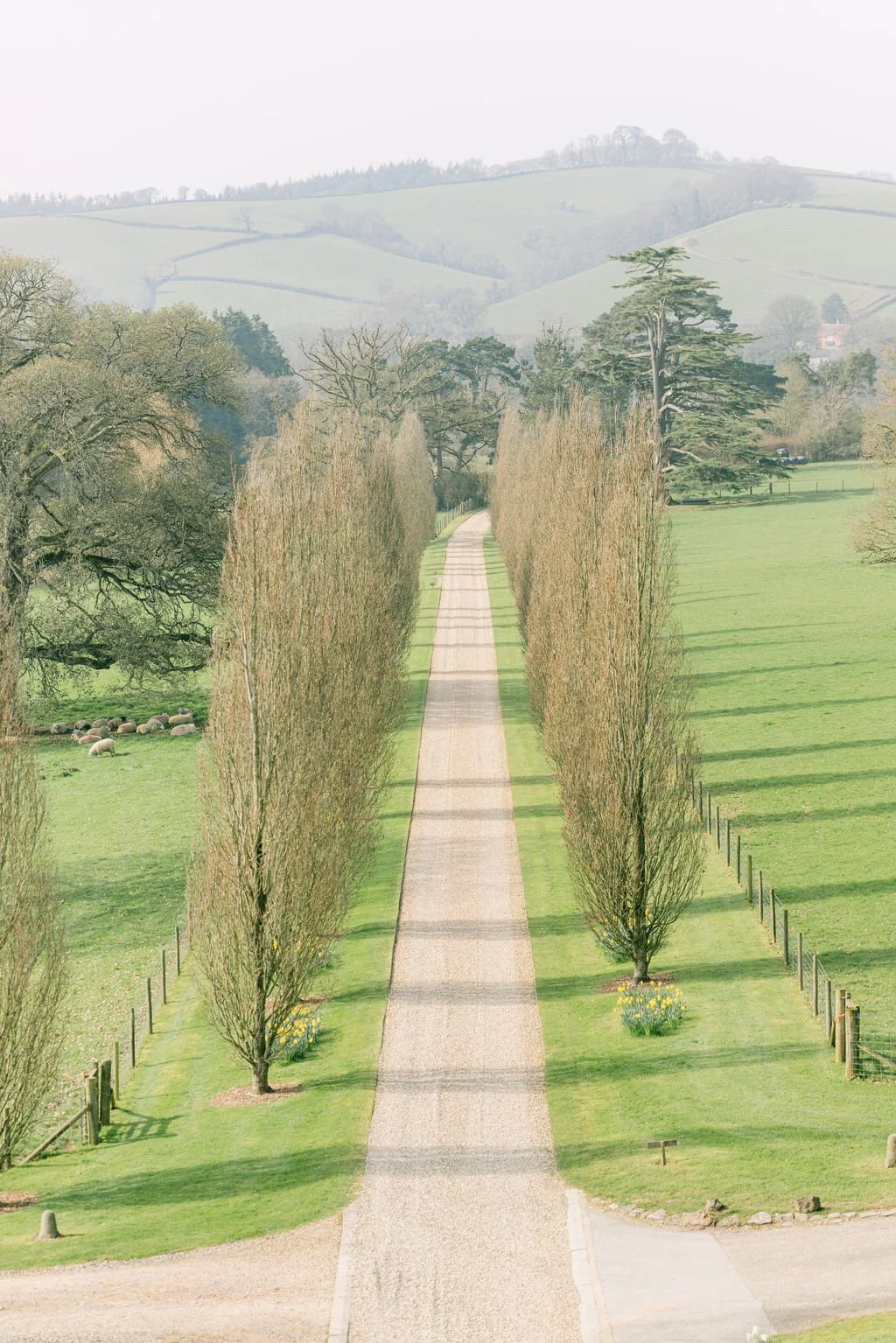 Tara-Statton-Photography-Pynes-House-Wedding-Devon (13).jpg