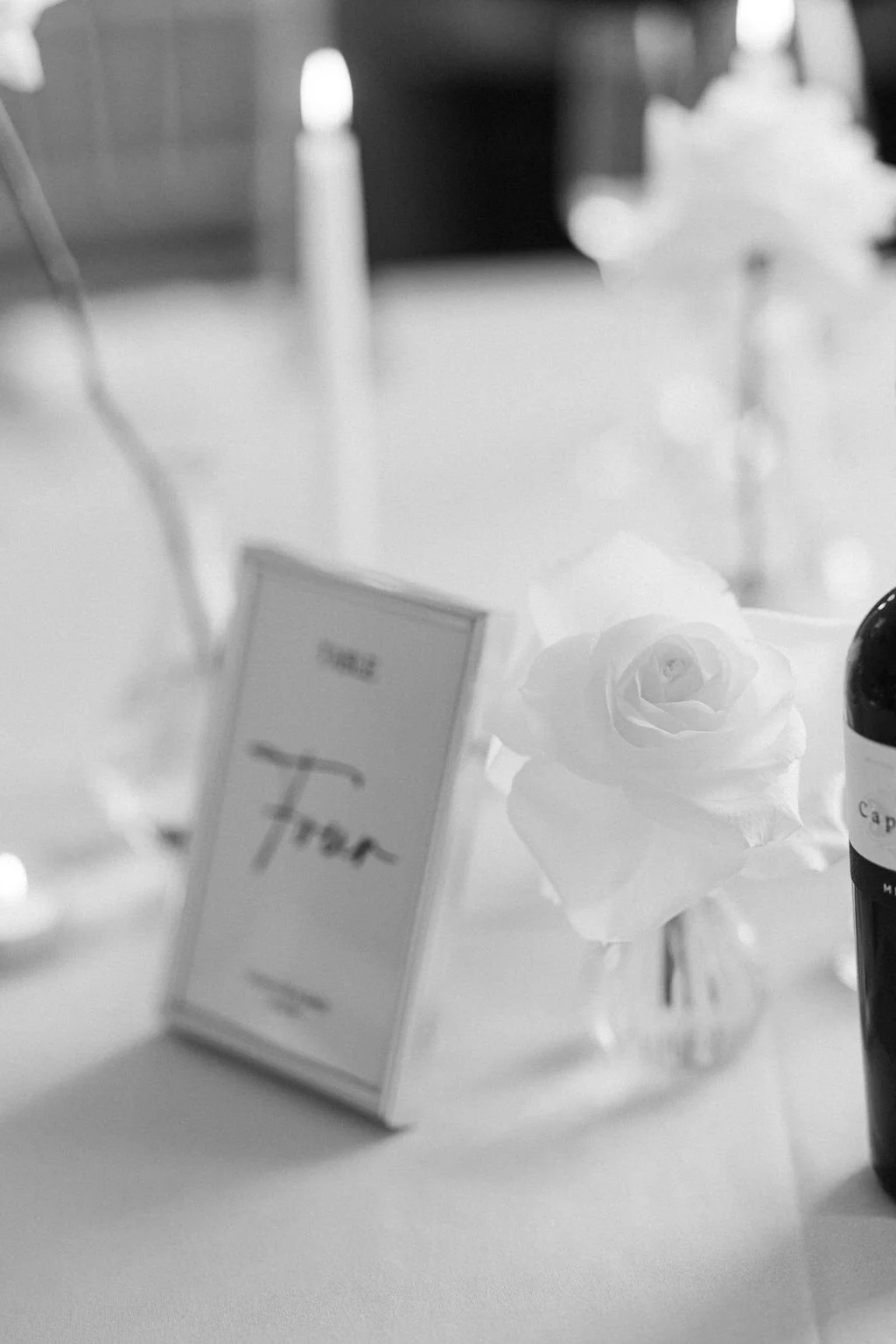 Tara-Statton-Photography-Pynes-House-Wedding-Devon (96).jpg