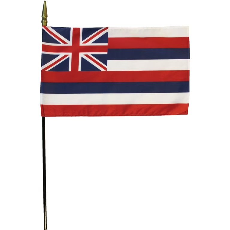 Hawaii-8-X12-Stick-Flag_b2a2a8c4-bb0d-44fd-a8ea-a90edca17b2c.5e9325e0ac85af43cf7e32e8ff8783cb.jpeg