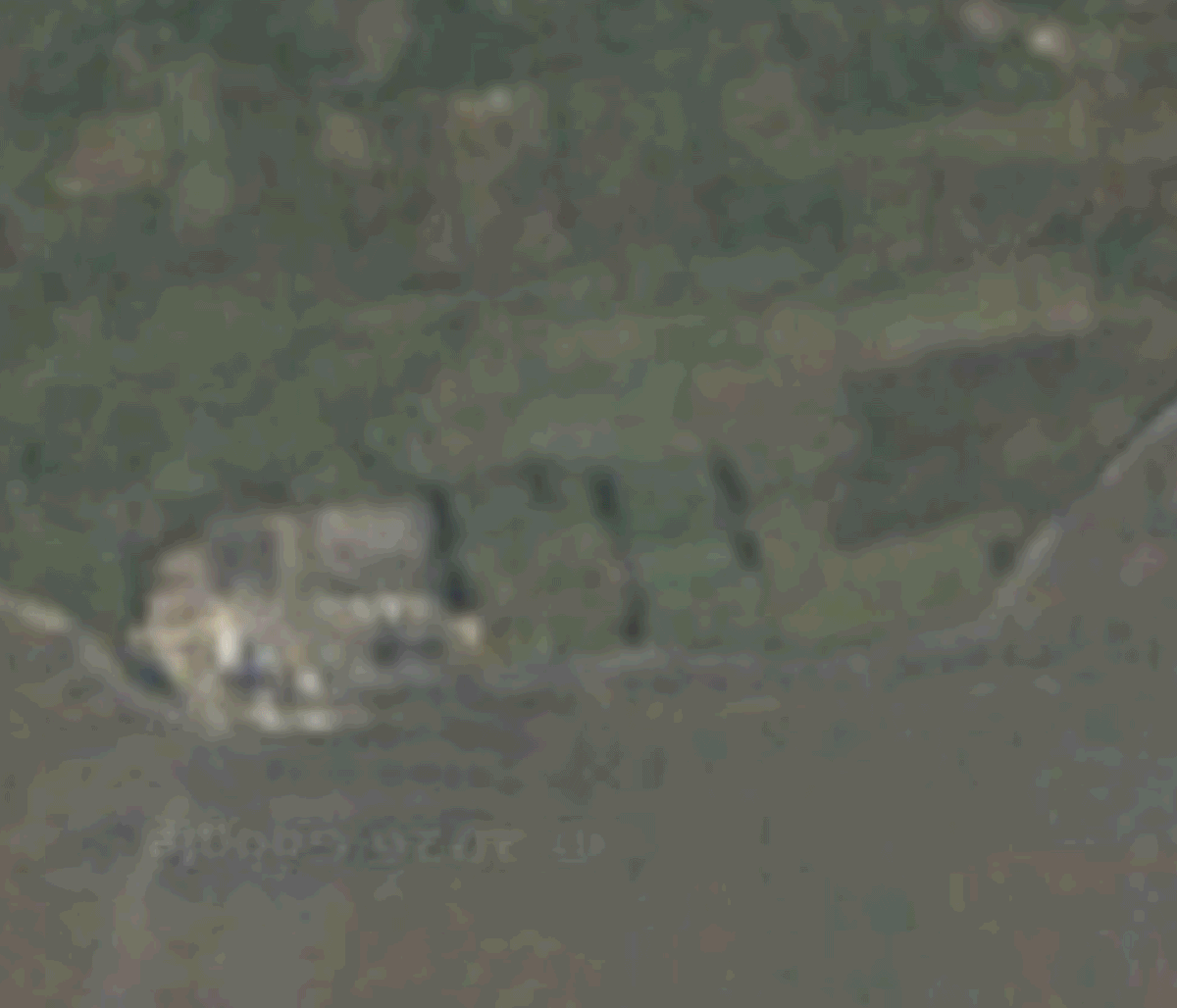 HinkleyGIF.gif
