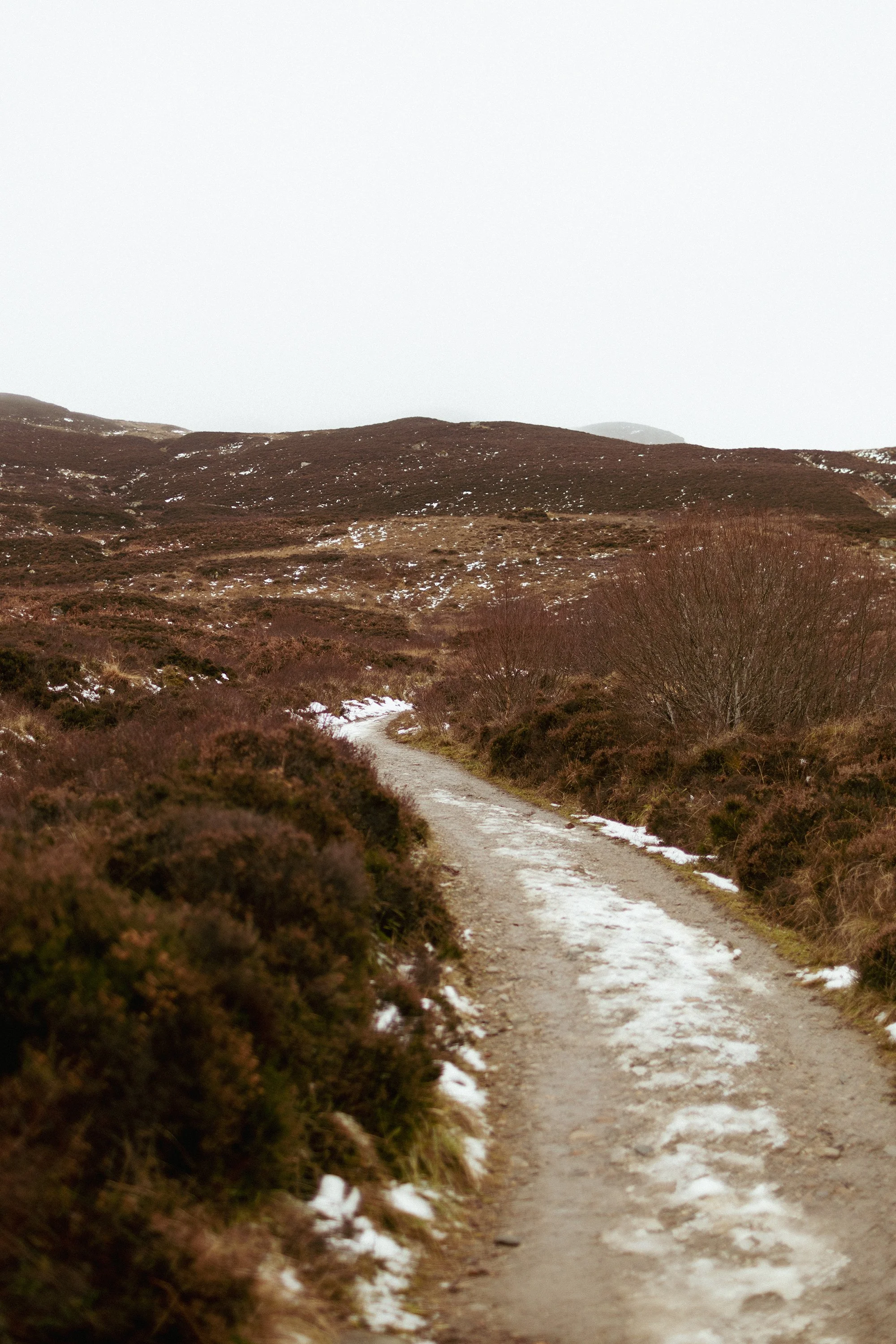 Scotland-2021-HiRes-003.jpg