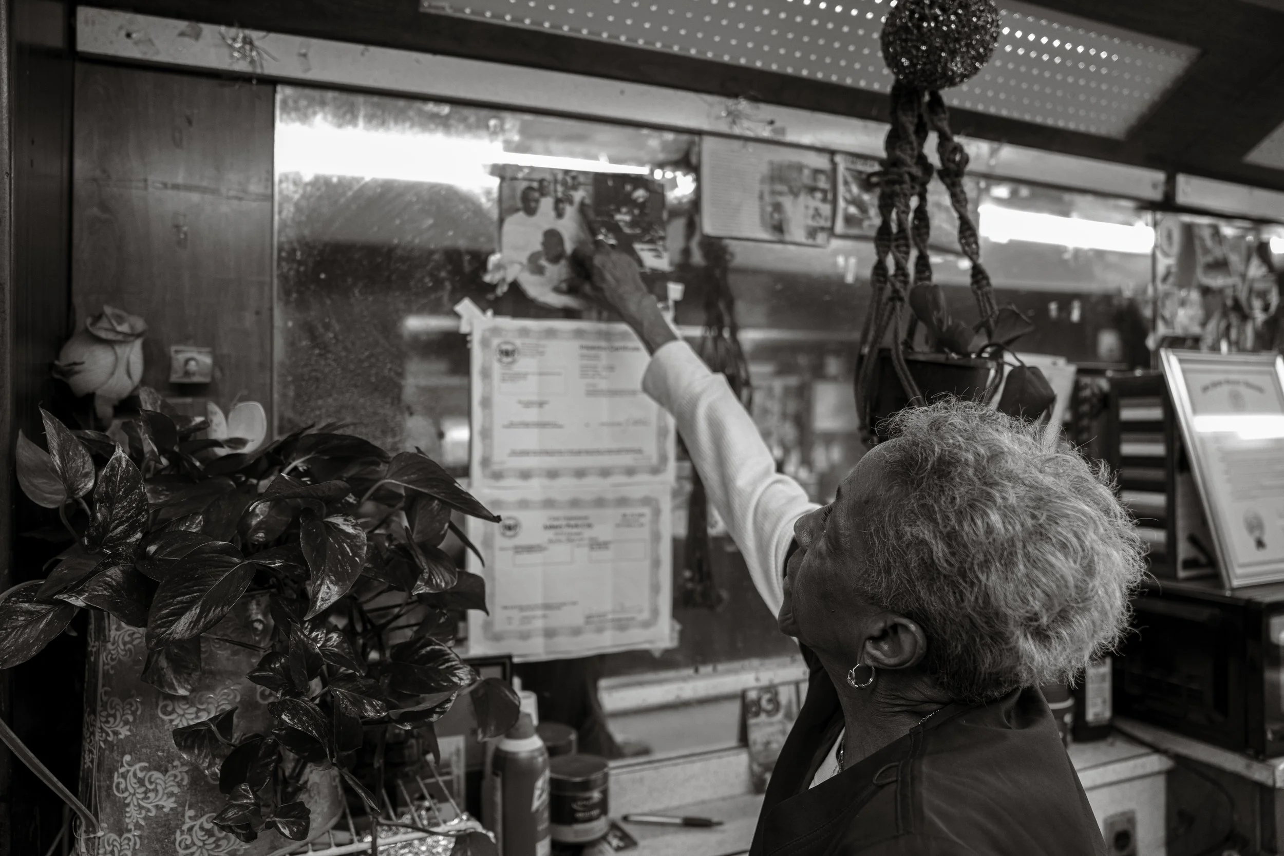 _DSC9247.jpg