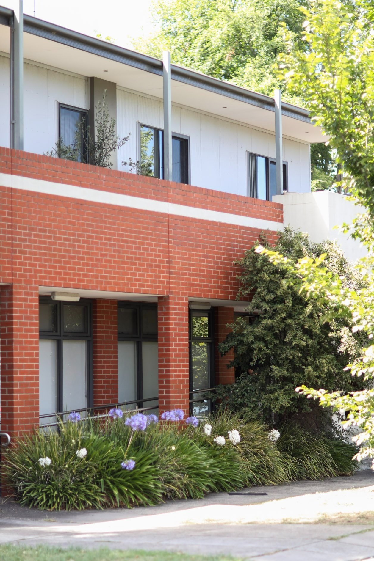 A modern residential building with brick and white panel exterior, large windows, surrounded by greenery including bushes with purple and white flowers, and trees.