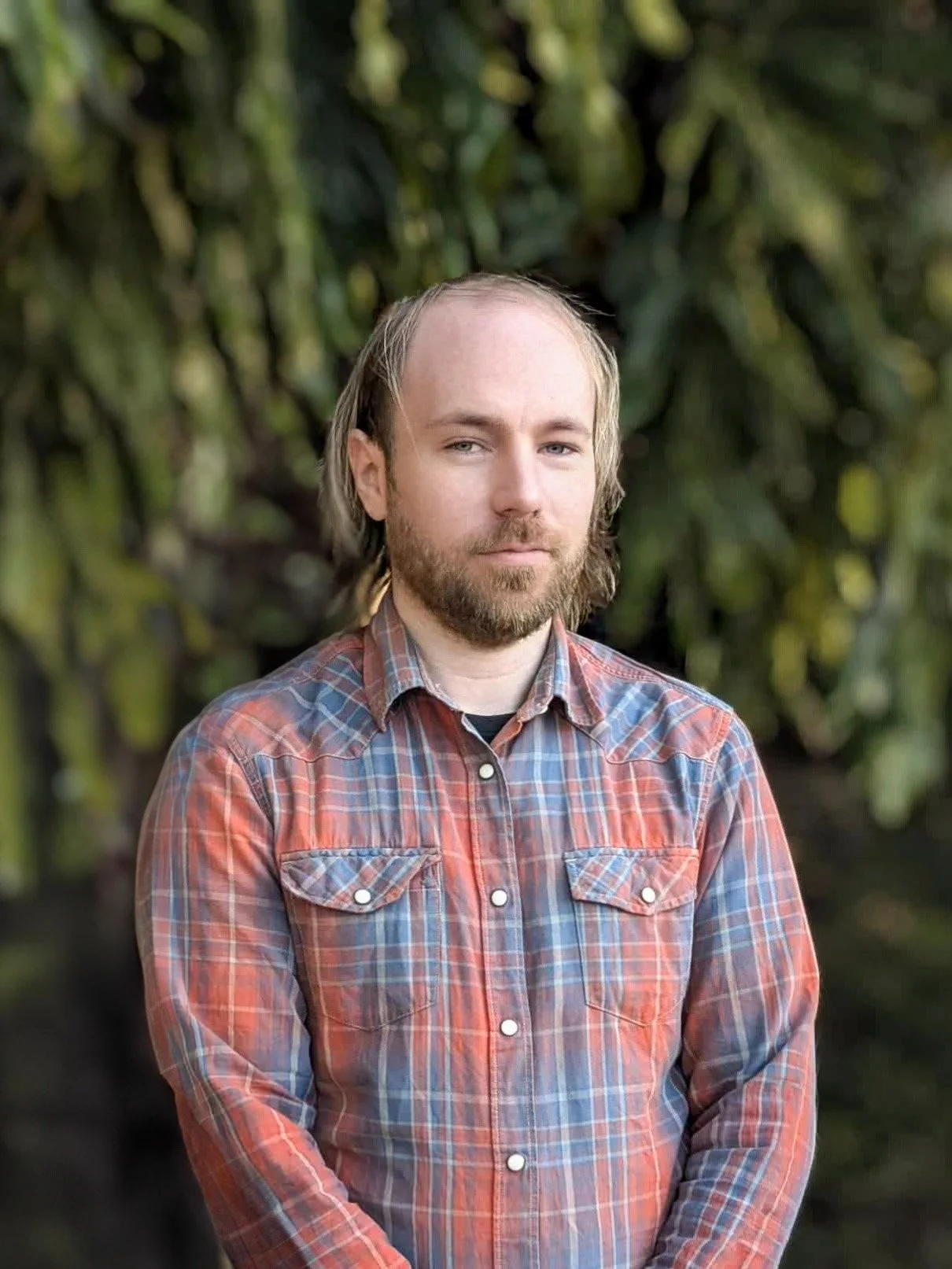 Tom O'Halloran