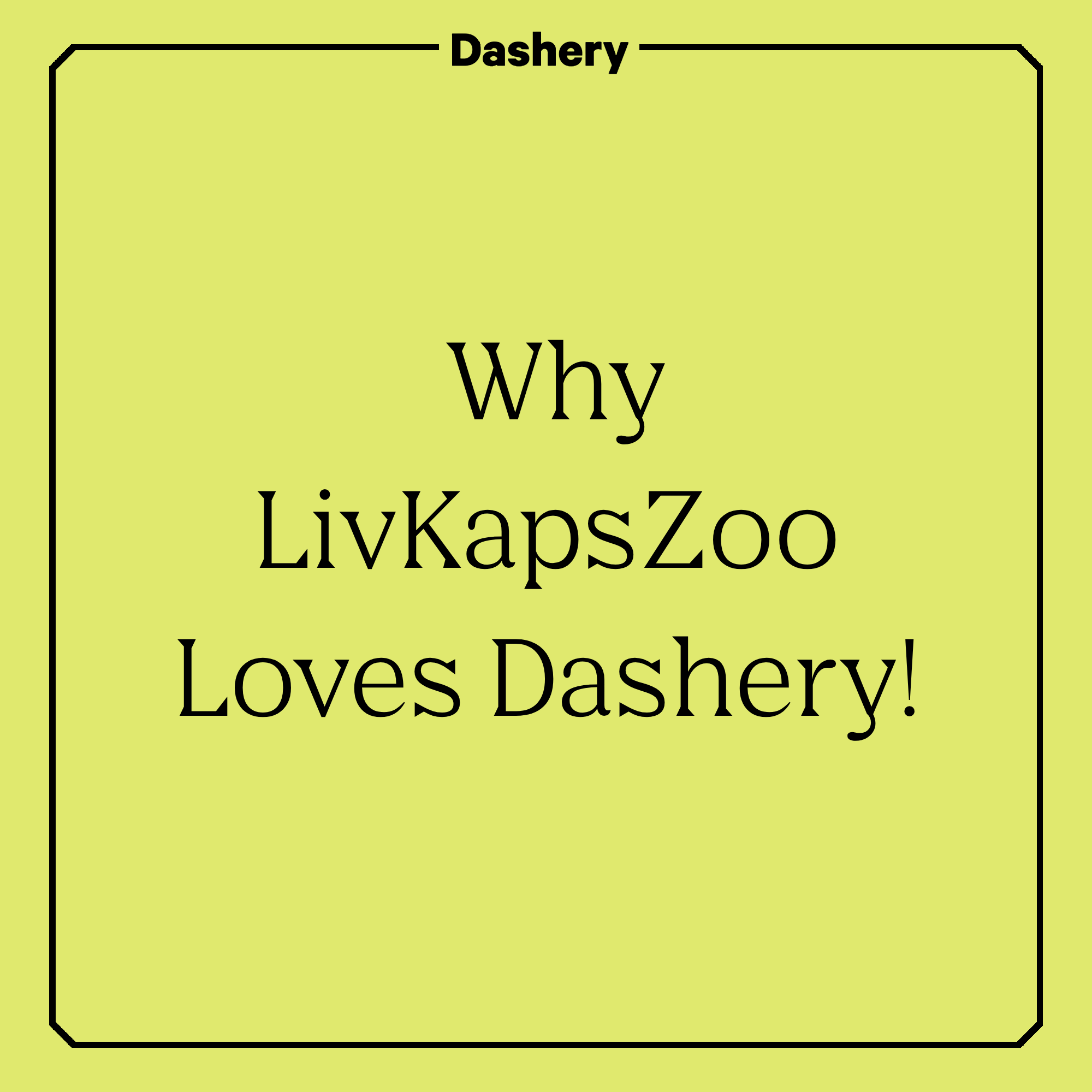 From Guinea Pigs to Merch: Why LivKapsZoo Loves Dashery