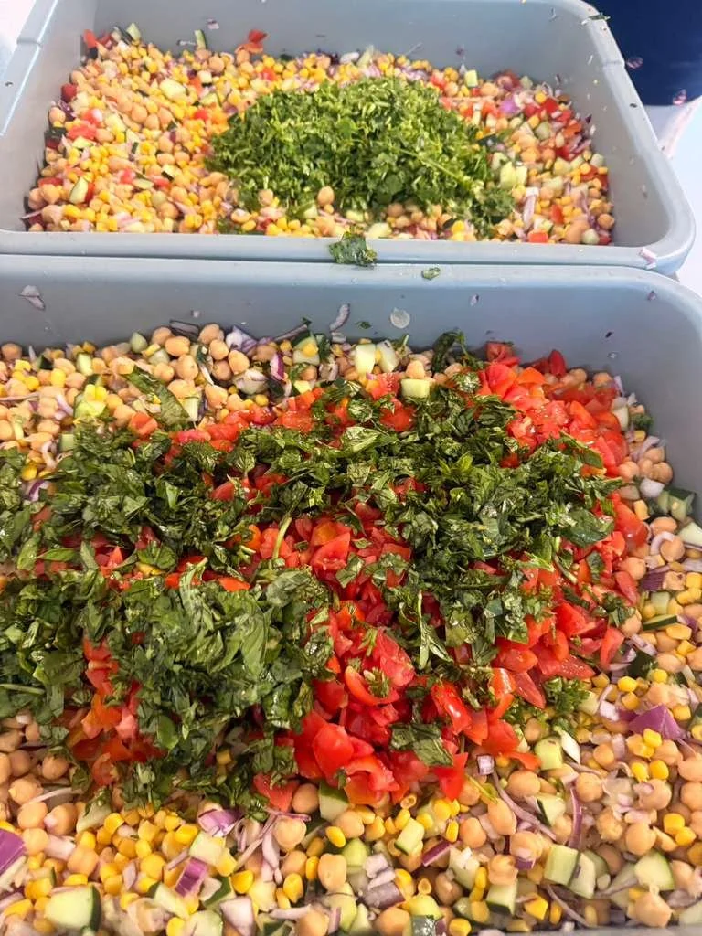 WhatsApp Image 2026-04-02 at 2.11.26 AM.jpeg