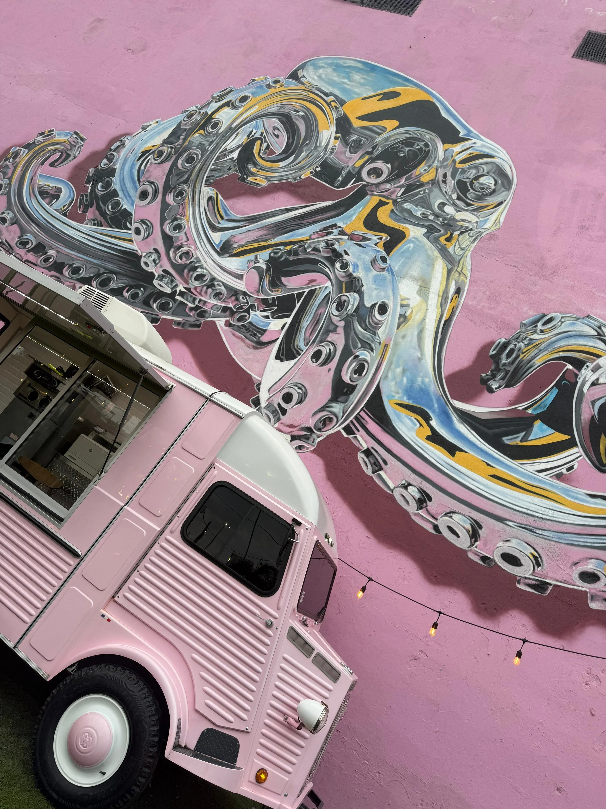 WhatsApp Image 2026-02-11 at 4.16.09 AM.jpeg