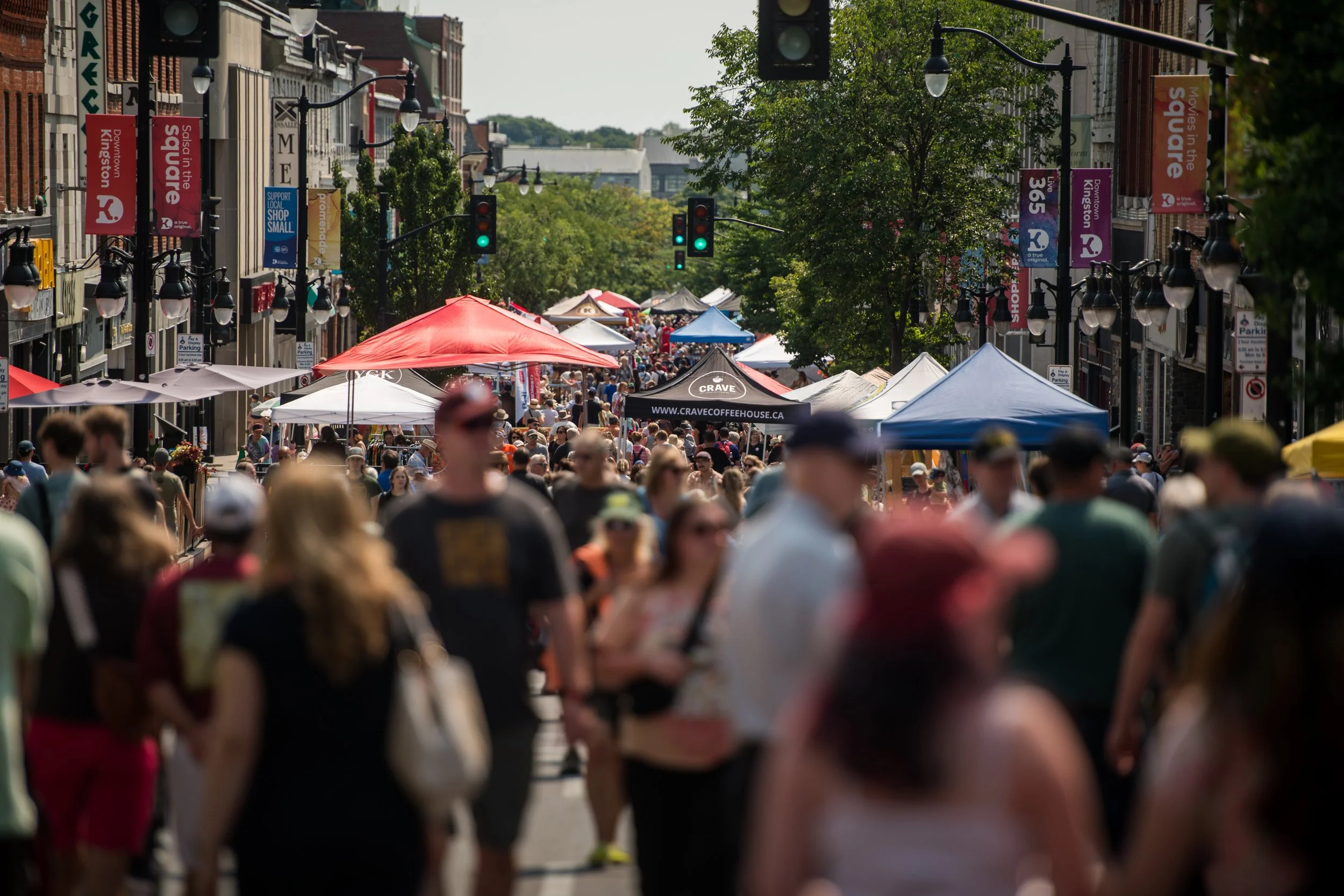 Run for the Downtown Kingston BIA Board of Management: 2027-2030