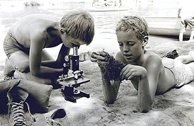 Two young boys at the beach examining a large seashell with a microscope.