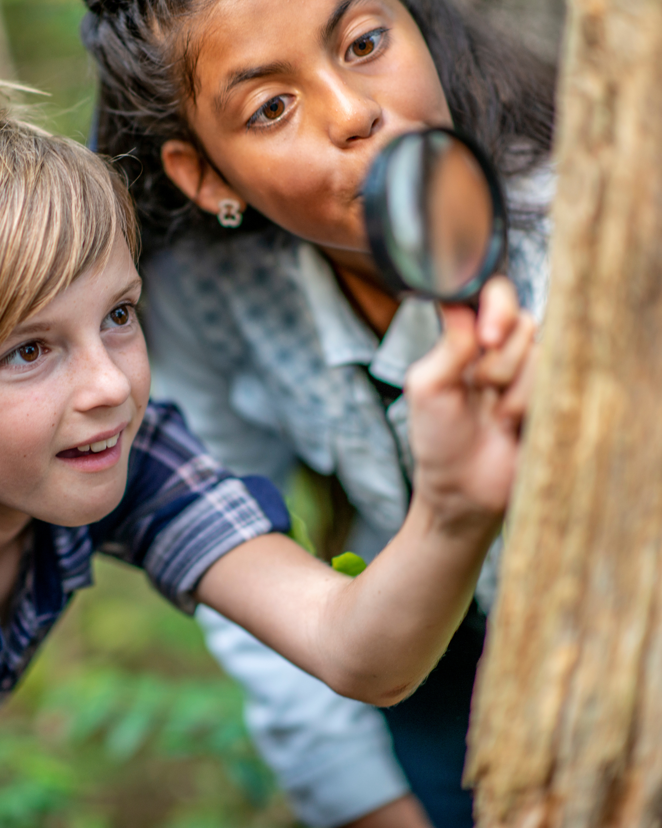 Two children, a girl and a boy, examining a tree with a magnifying glass outdoors.